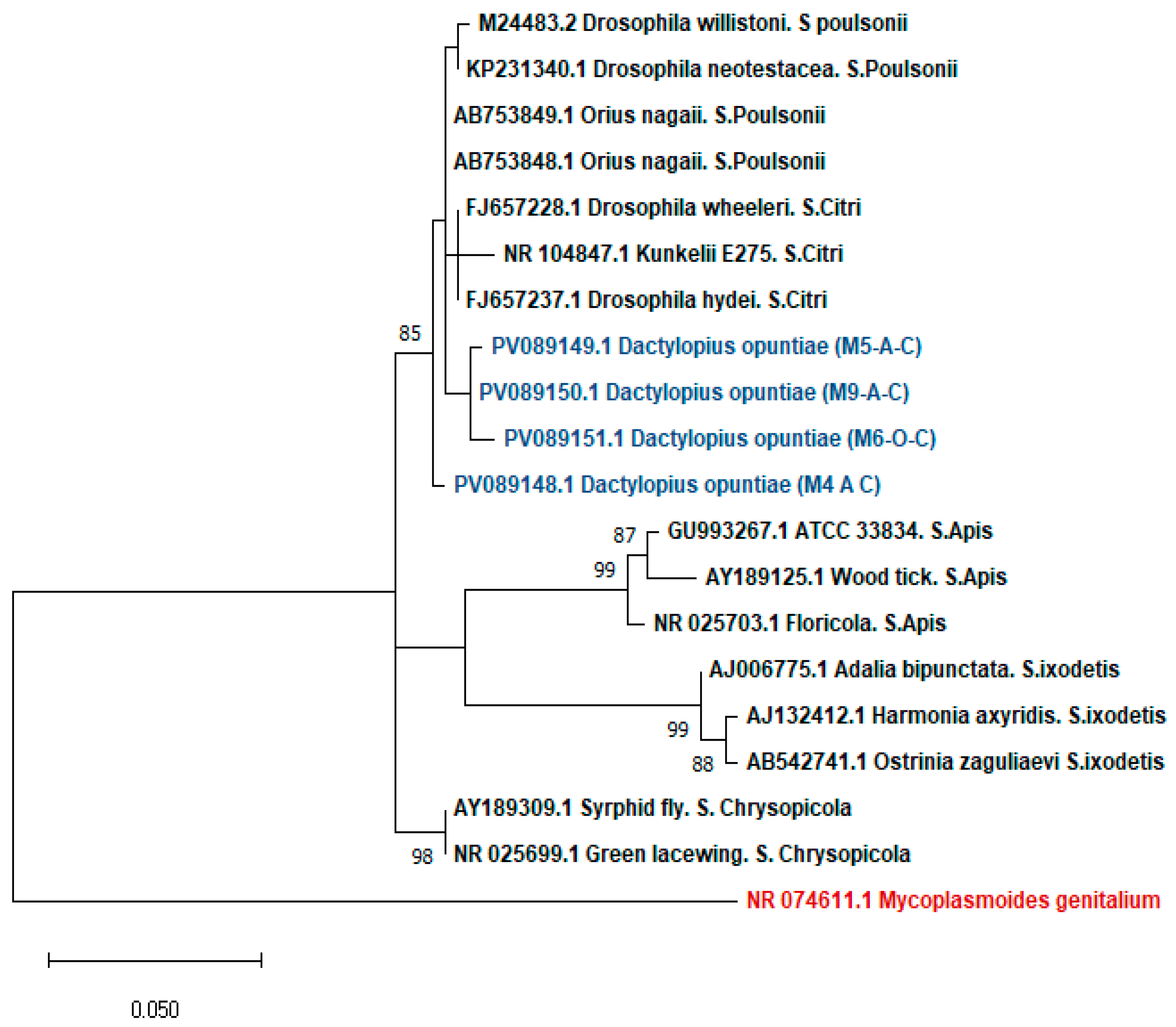 Insects 16 01184 g002