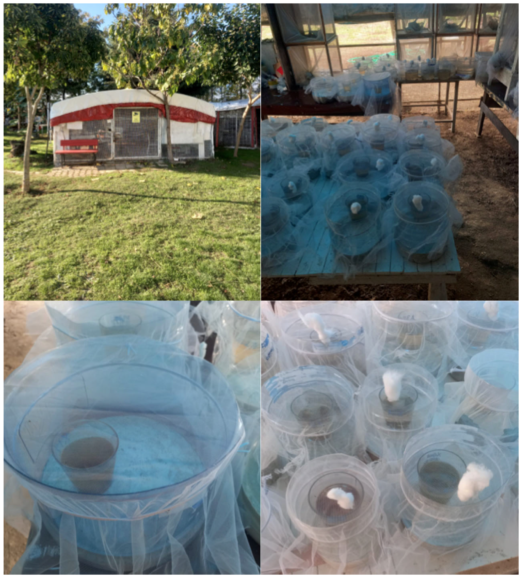 Insects 16 01185 g001