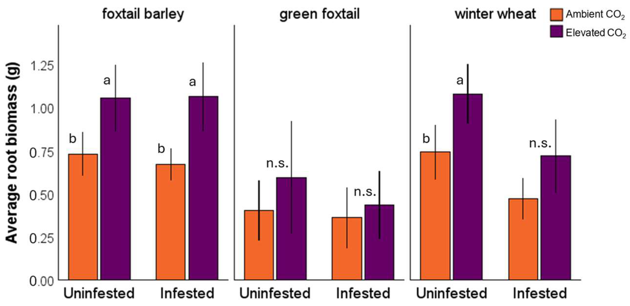 Insects 16 01186 g001