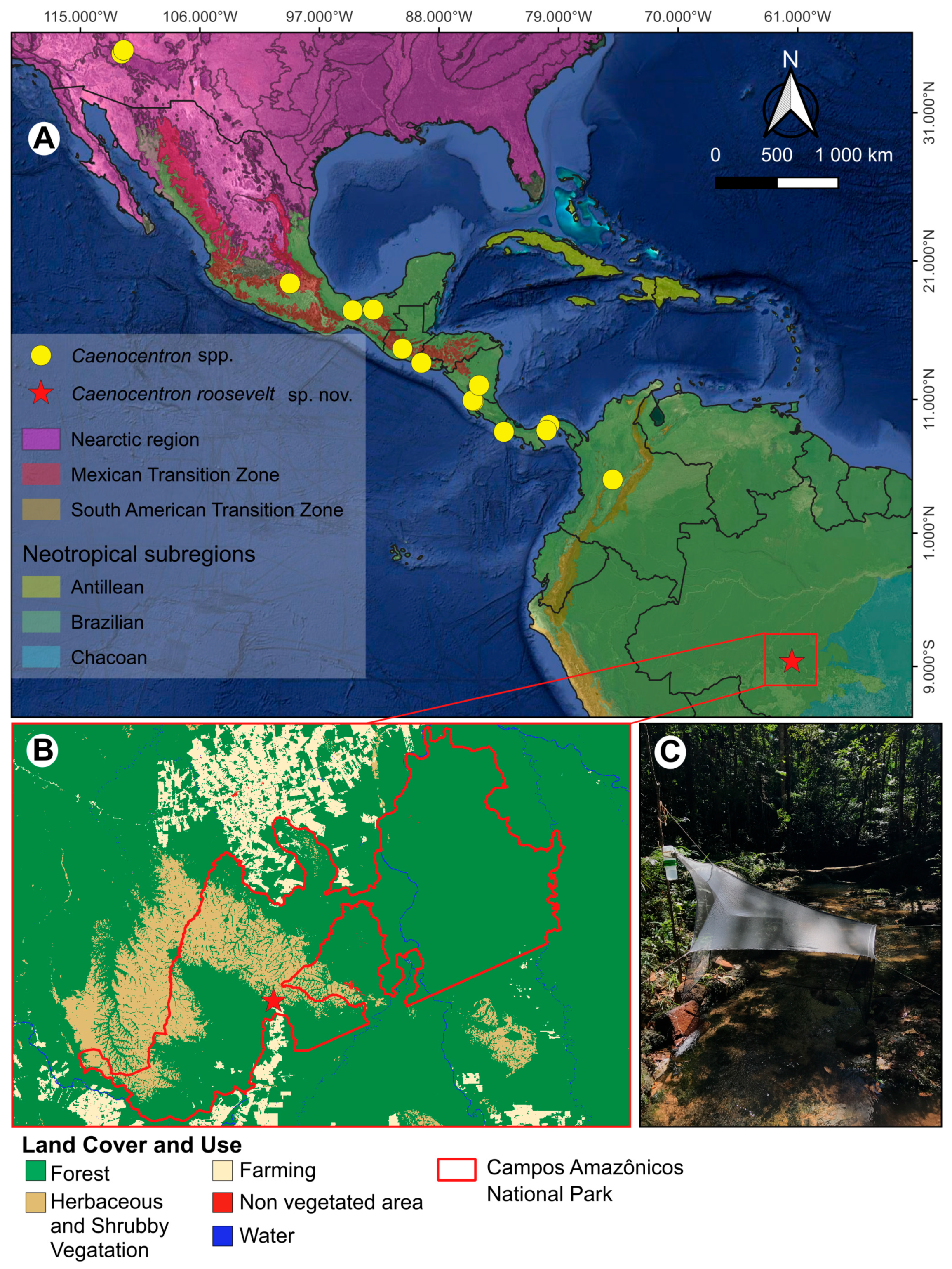 Insects 16 01188 g001