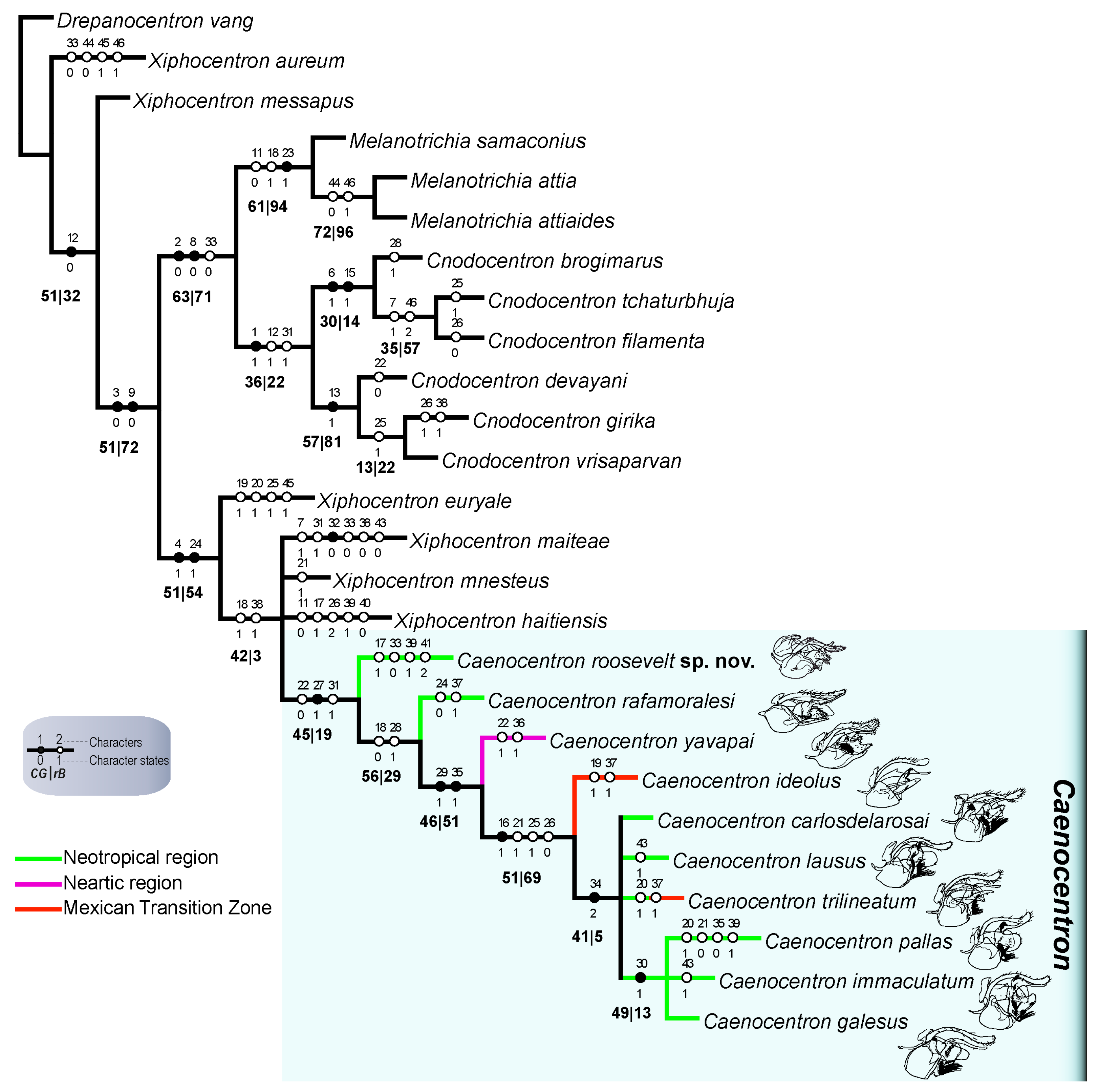 Insects 16 01188 g002