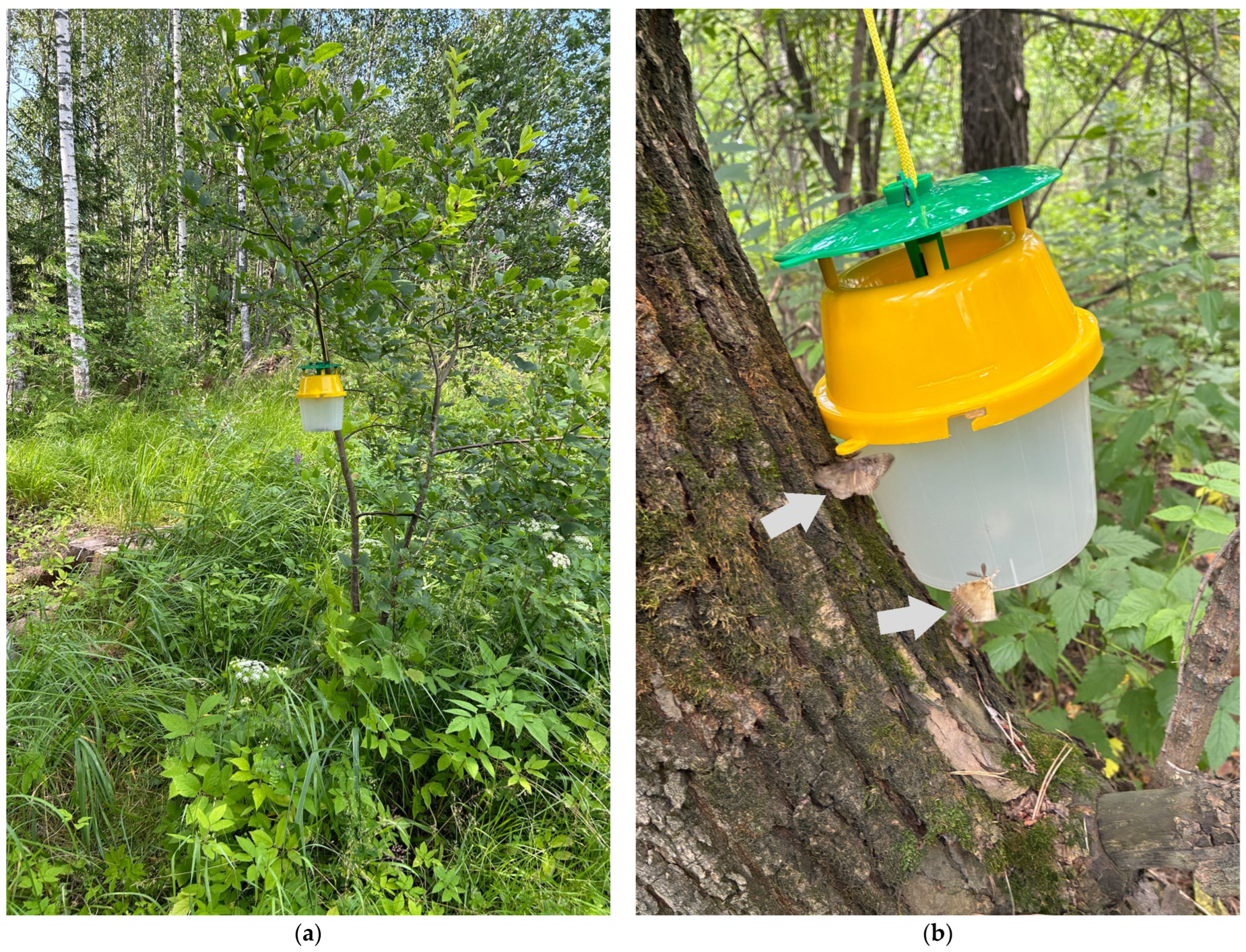 Insects 16 01189 g001 Insects 16 01189 g001