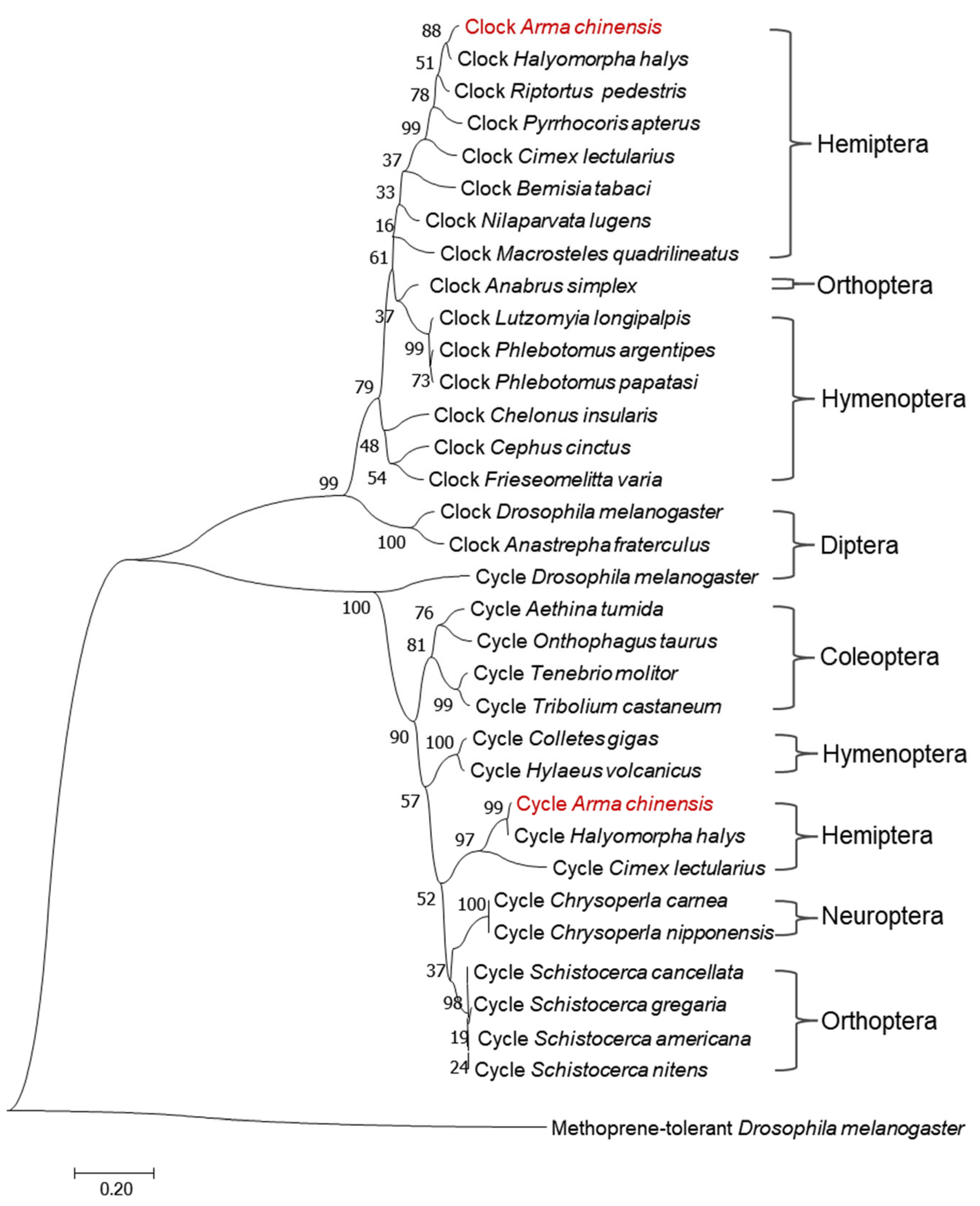 Insects 16 01192 g001 Insects 16 01192 g001