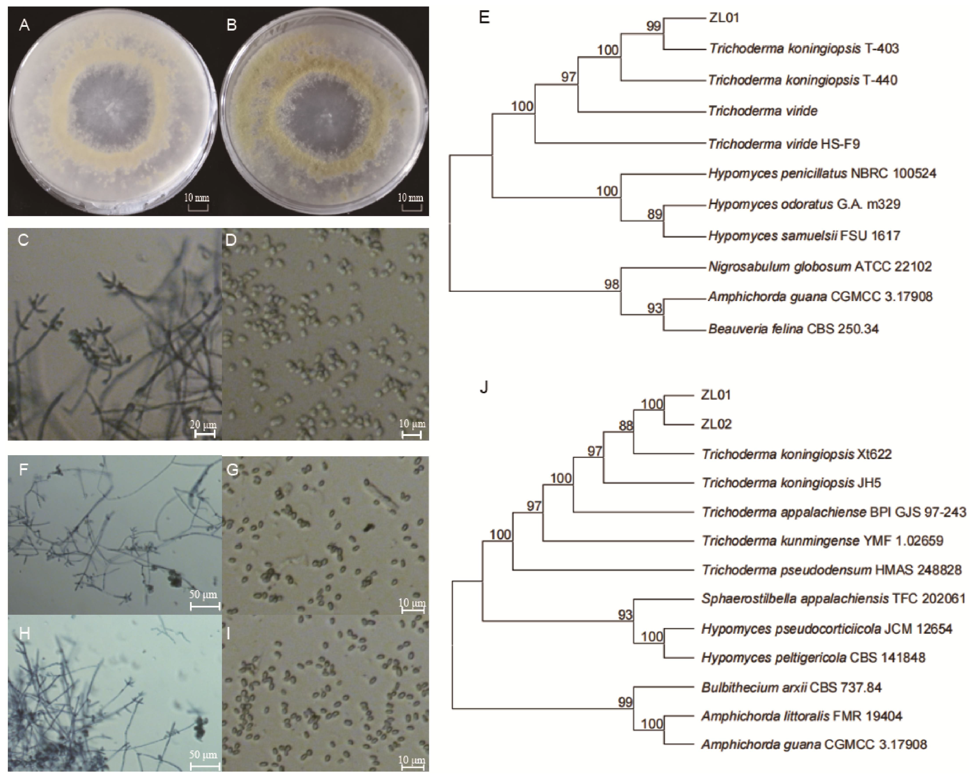 Insects 16 01193 g001