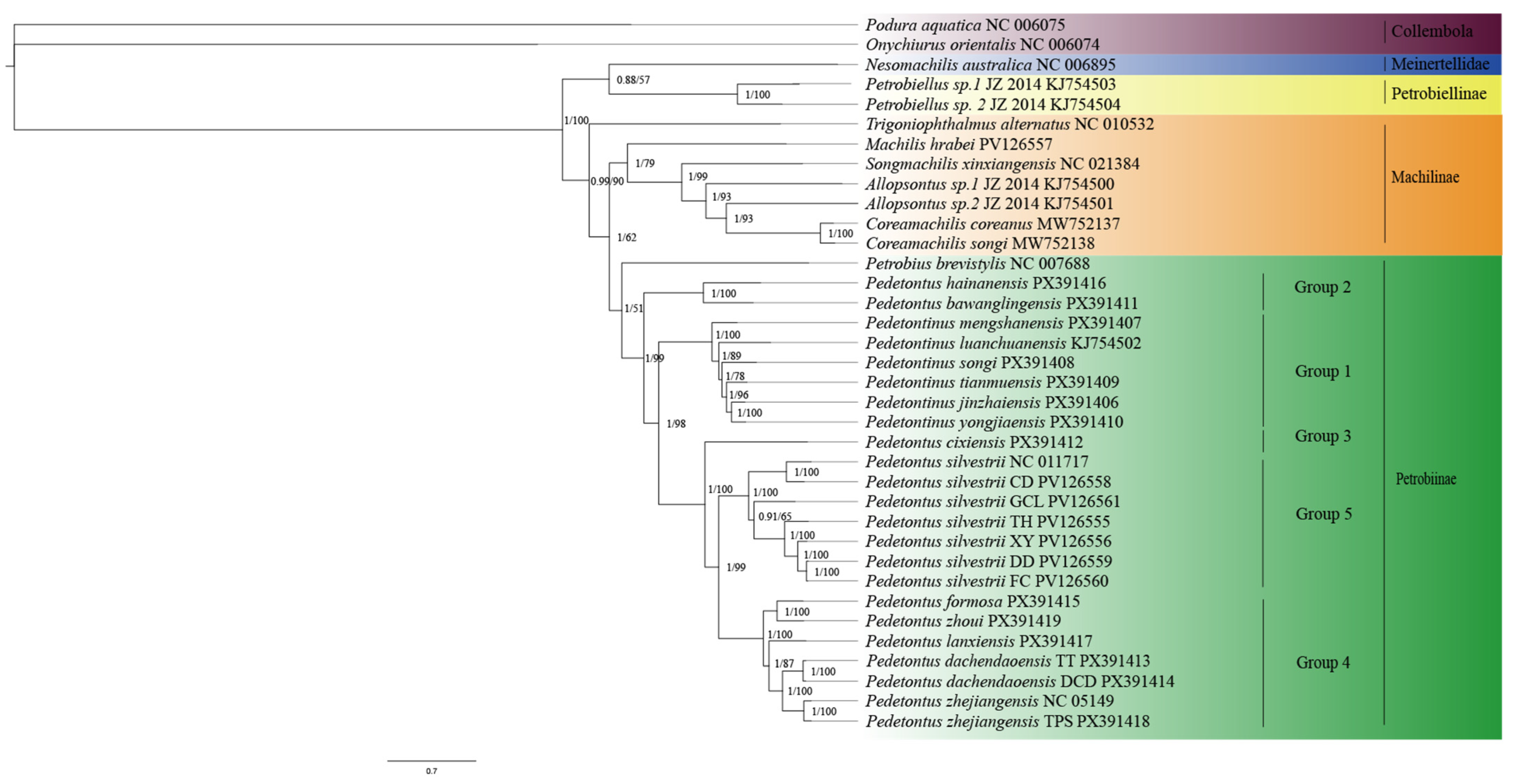 Insects 16 01194 g001