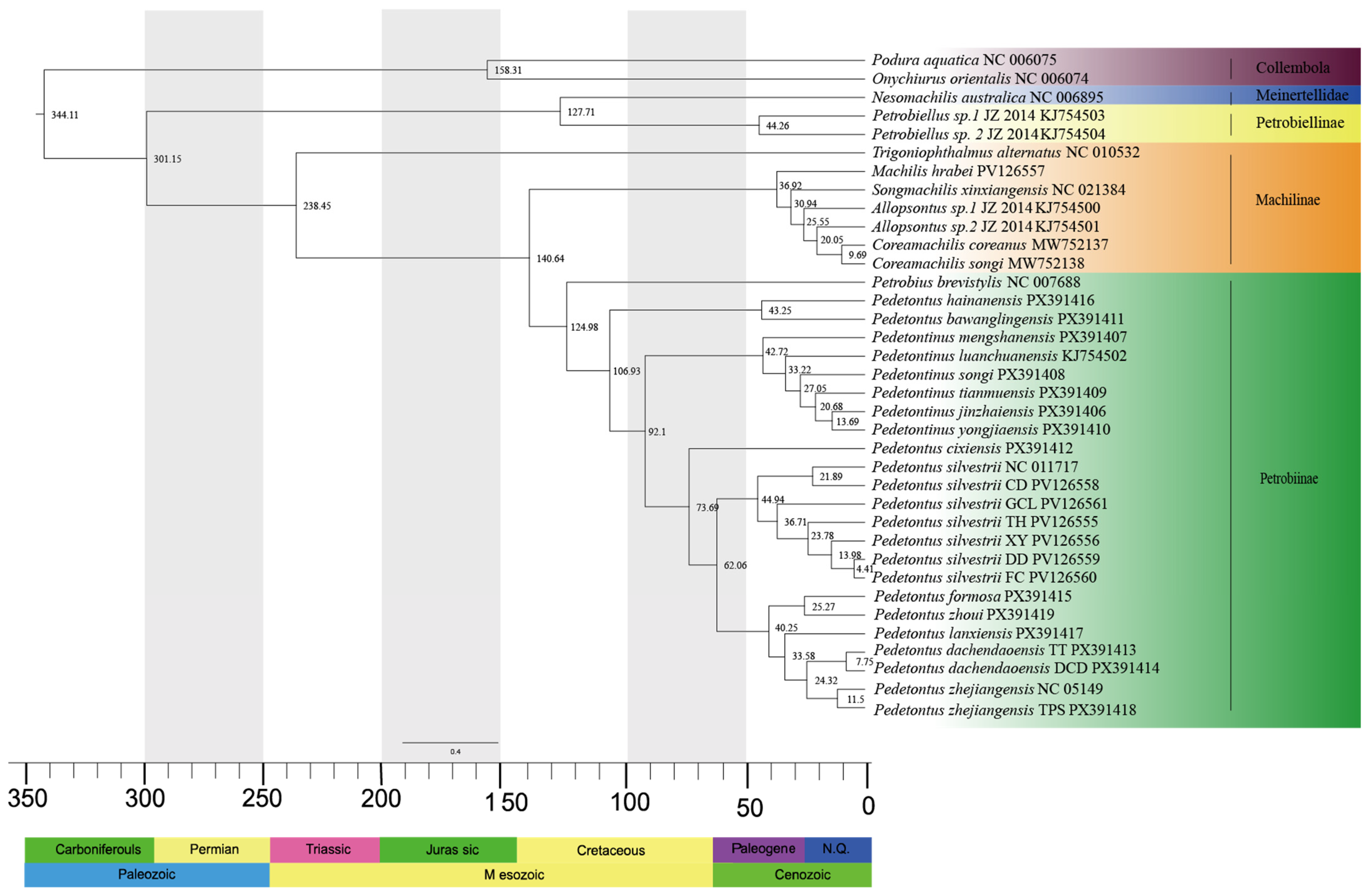 Insects 16 01194 g002