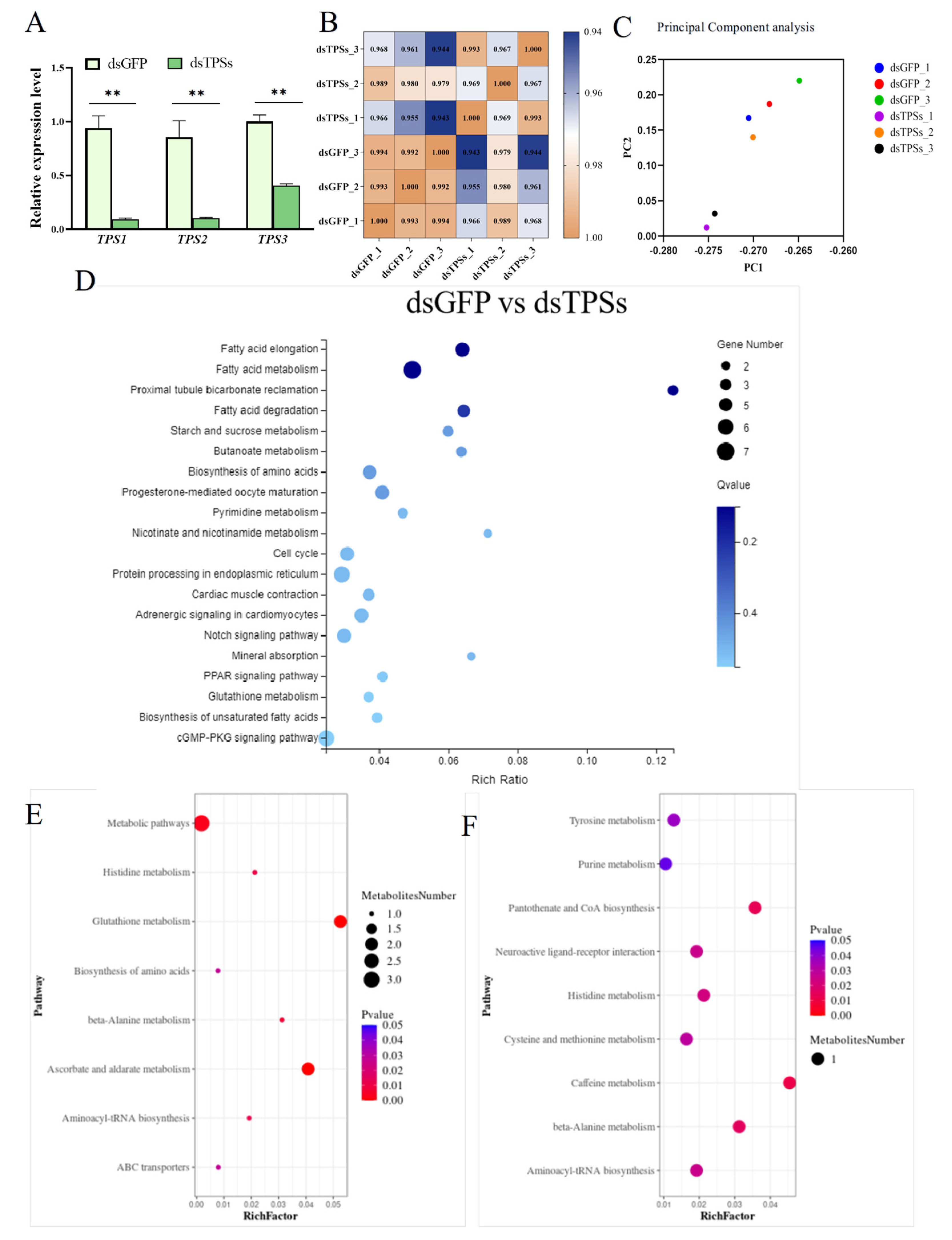 Insects 16 01195 g001