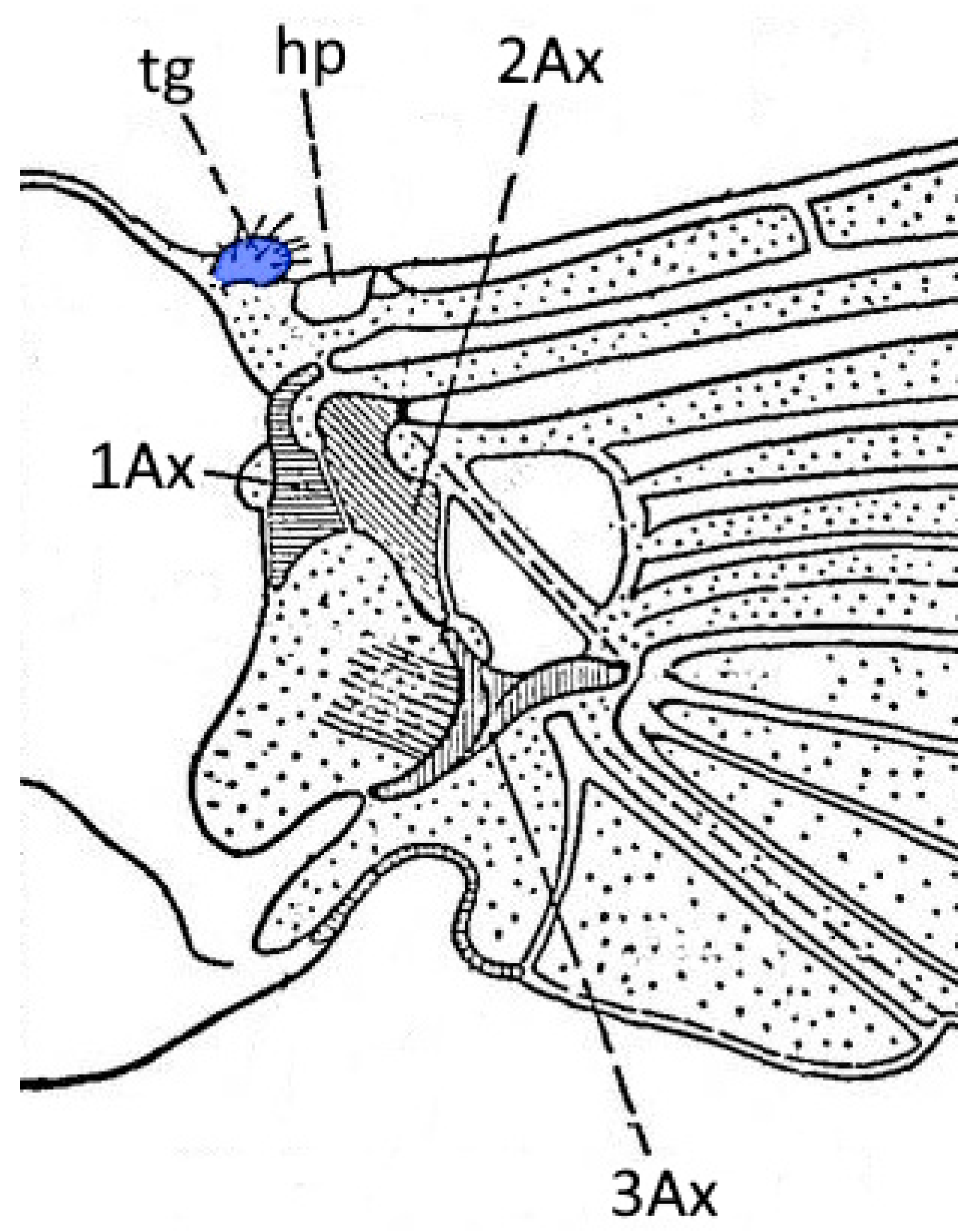 Insects 16 01200 g001