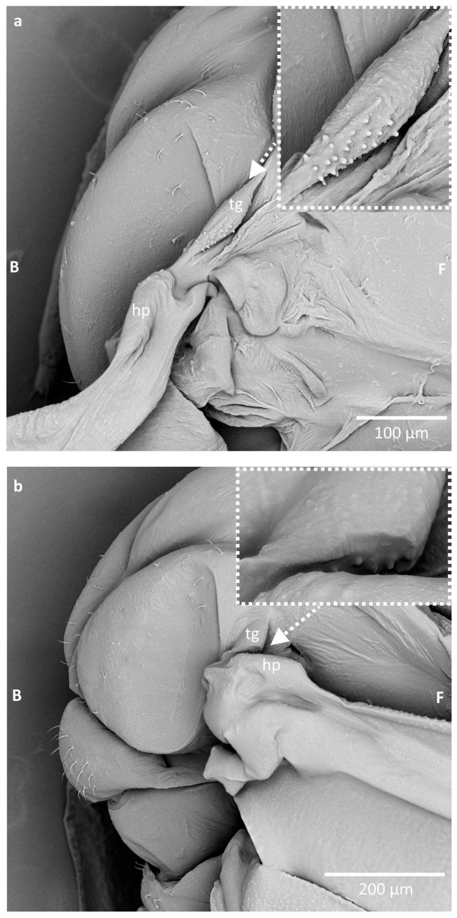 Insects 16 01200 g003