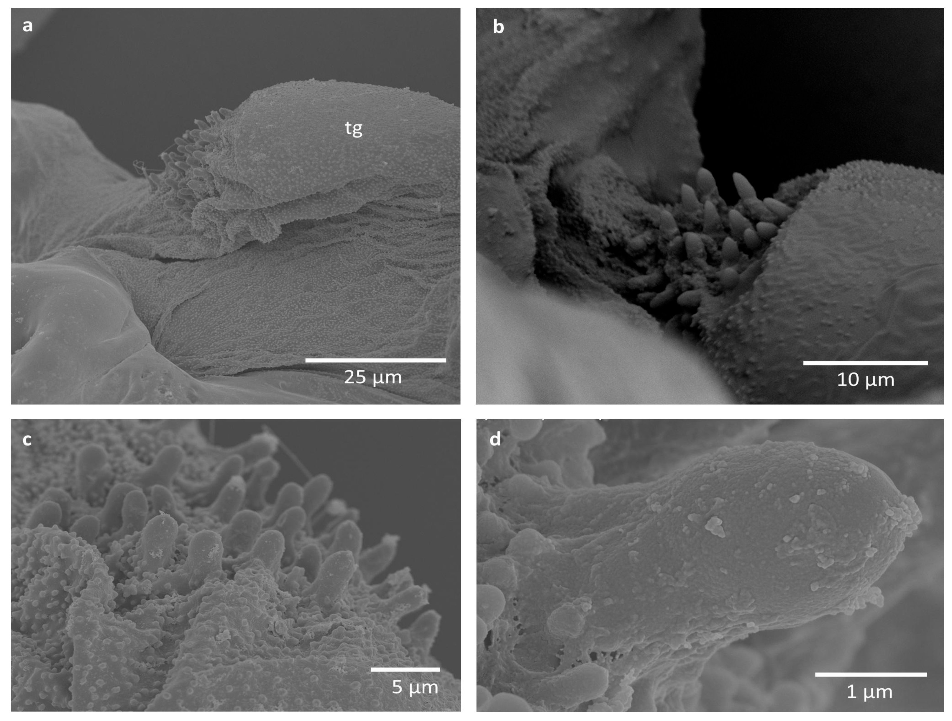 Insects 16 01200 g005