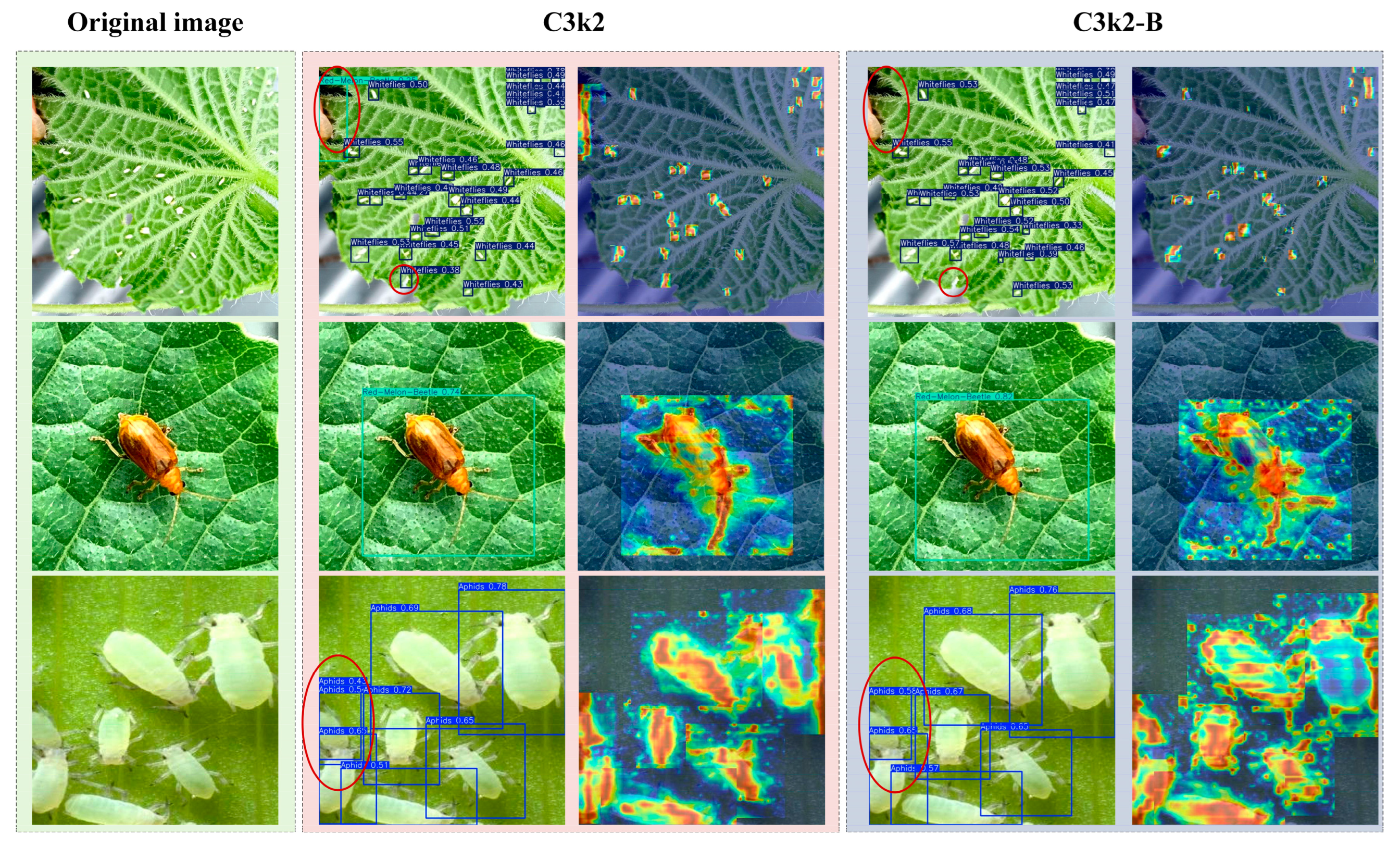 Insects 16 01201 g010