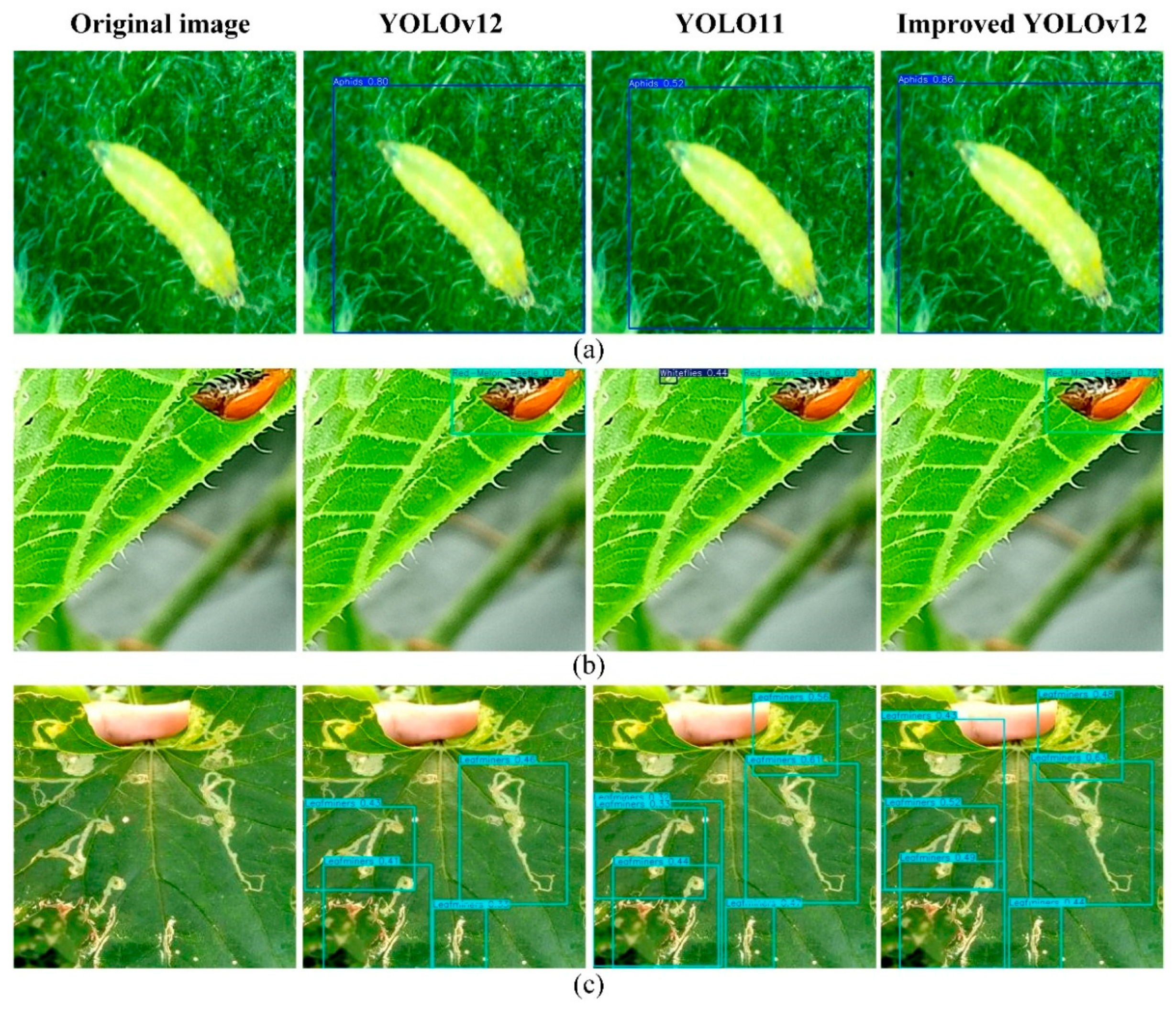 Insects 16 01201 g015