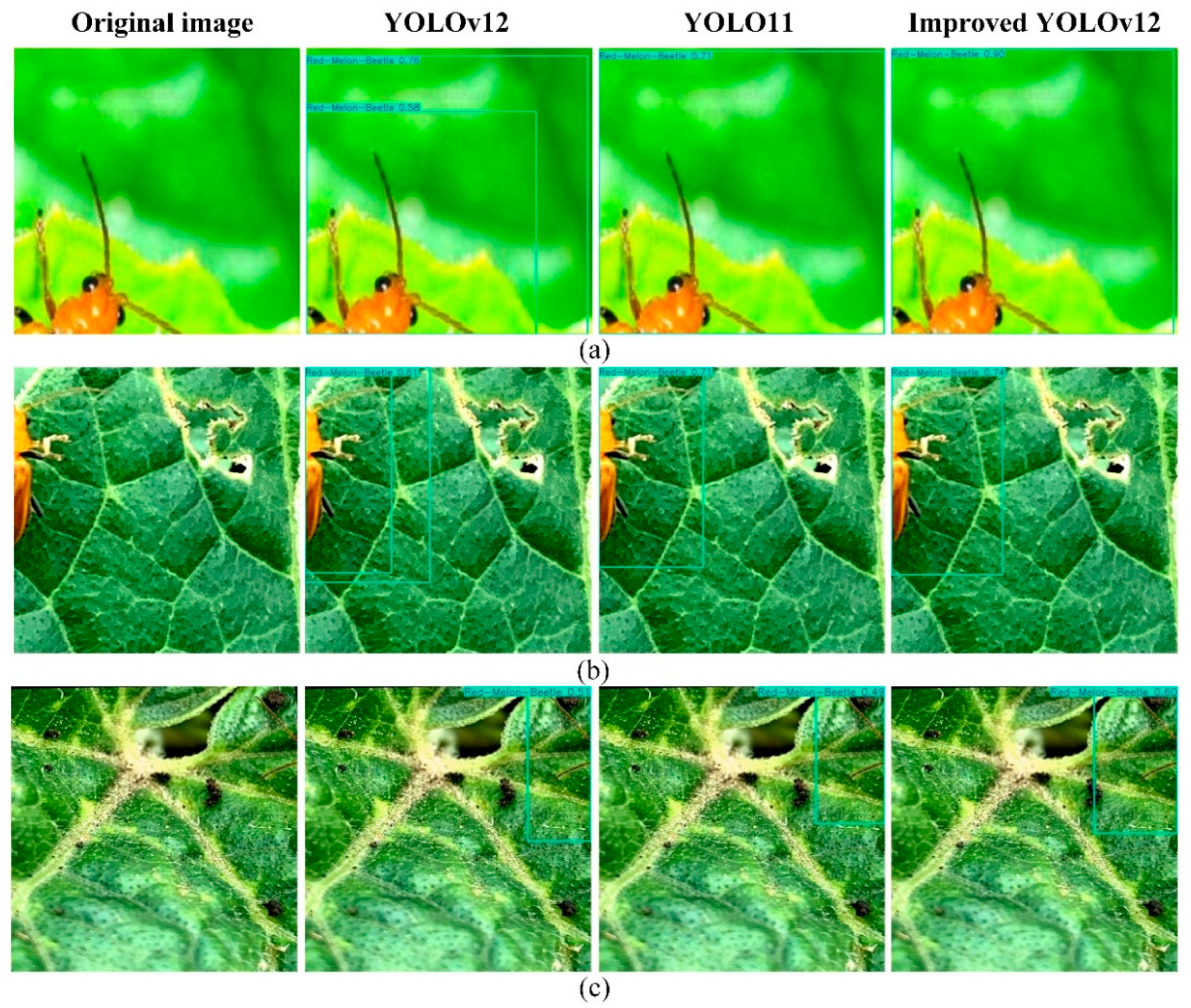 Insects 16 01201 g016