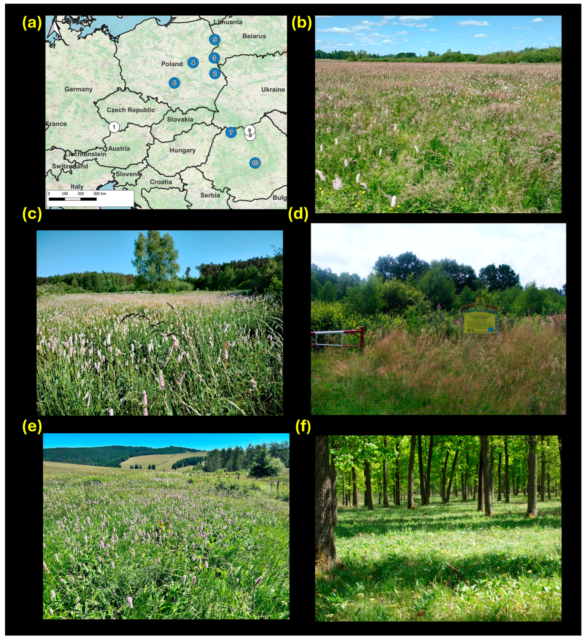 Insects 16 01202 g001