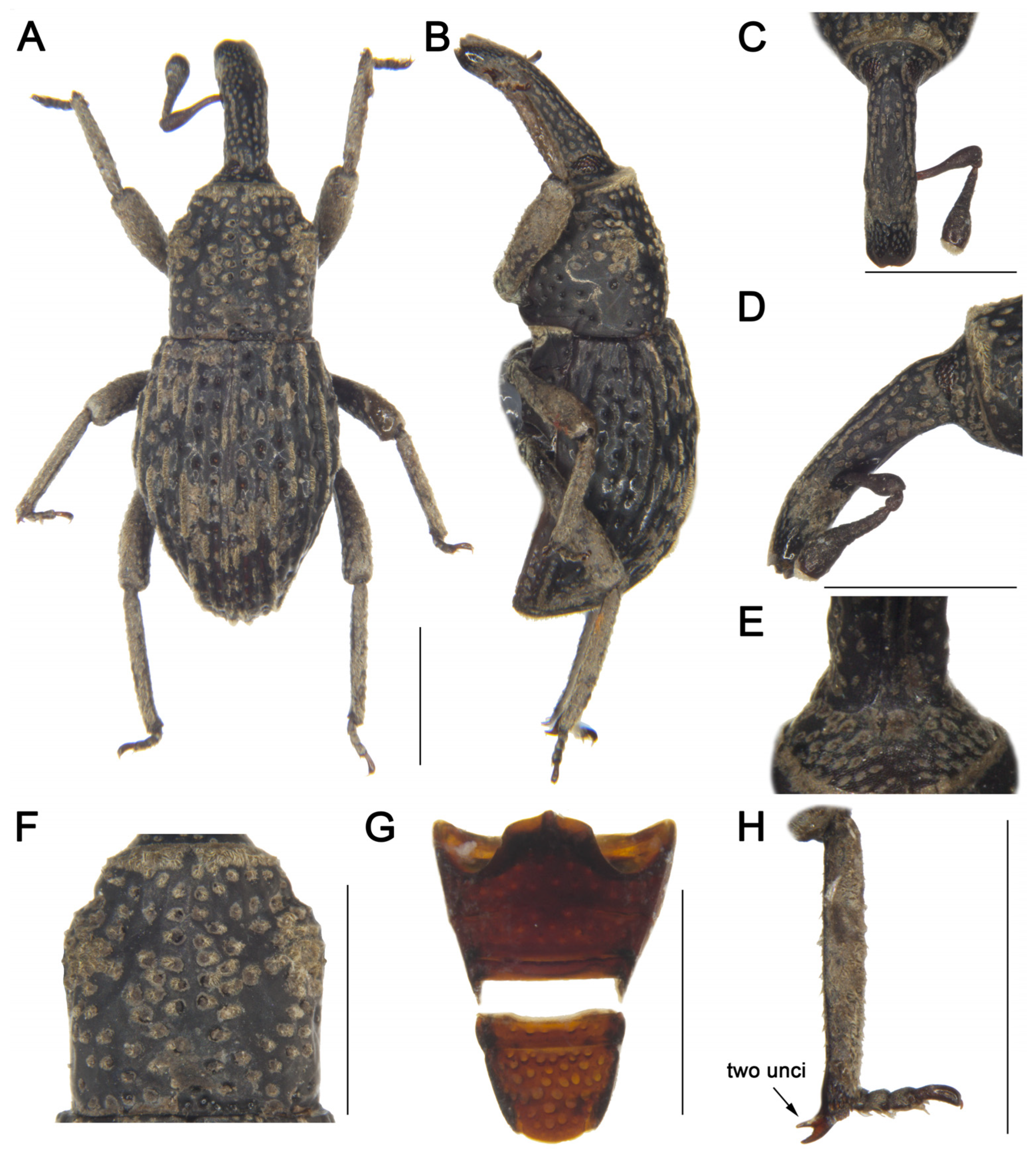 Insects 16 01211 g002 Insects 16 01211 g002