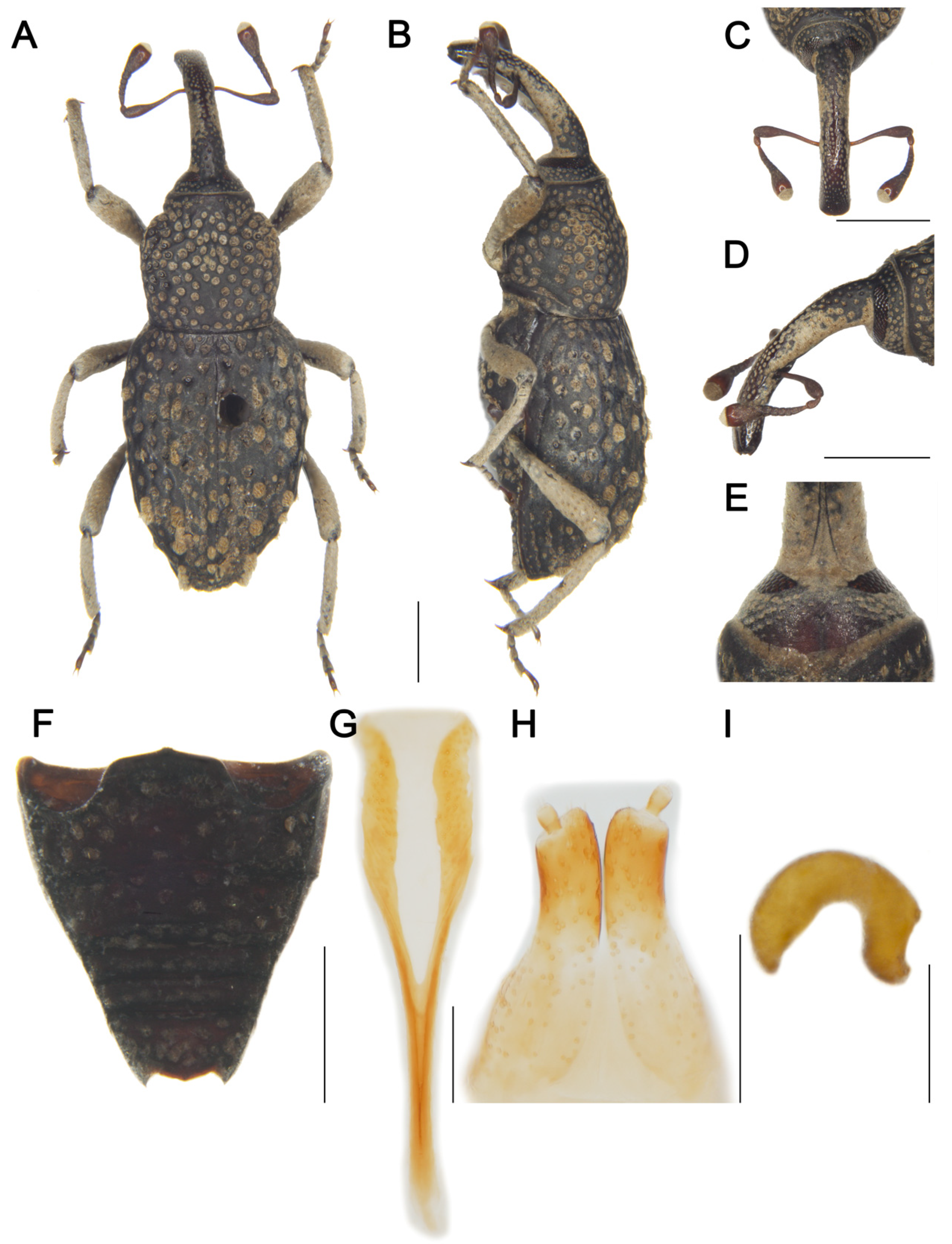 Insects 16 01211 g004 Insects 16 01211 g004