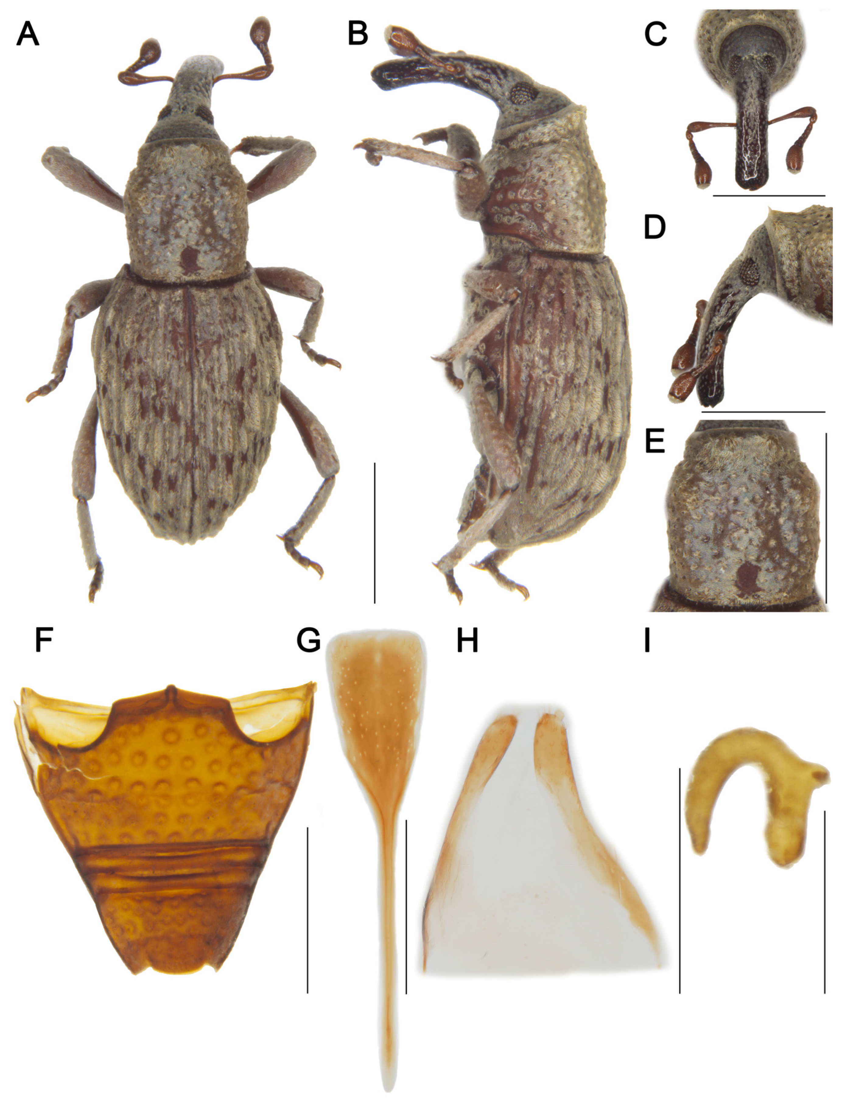 Insects 16 01211 g006 Insects 16 01211 g006