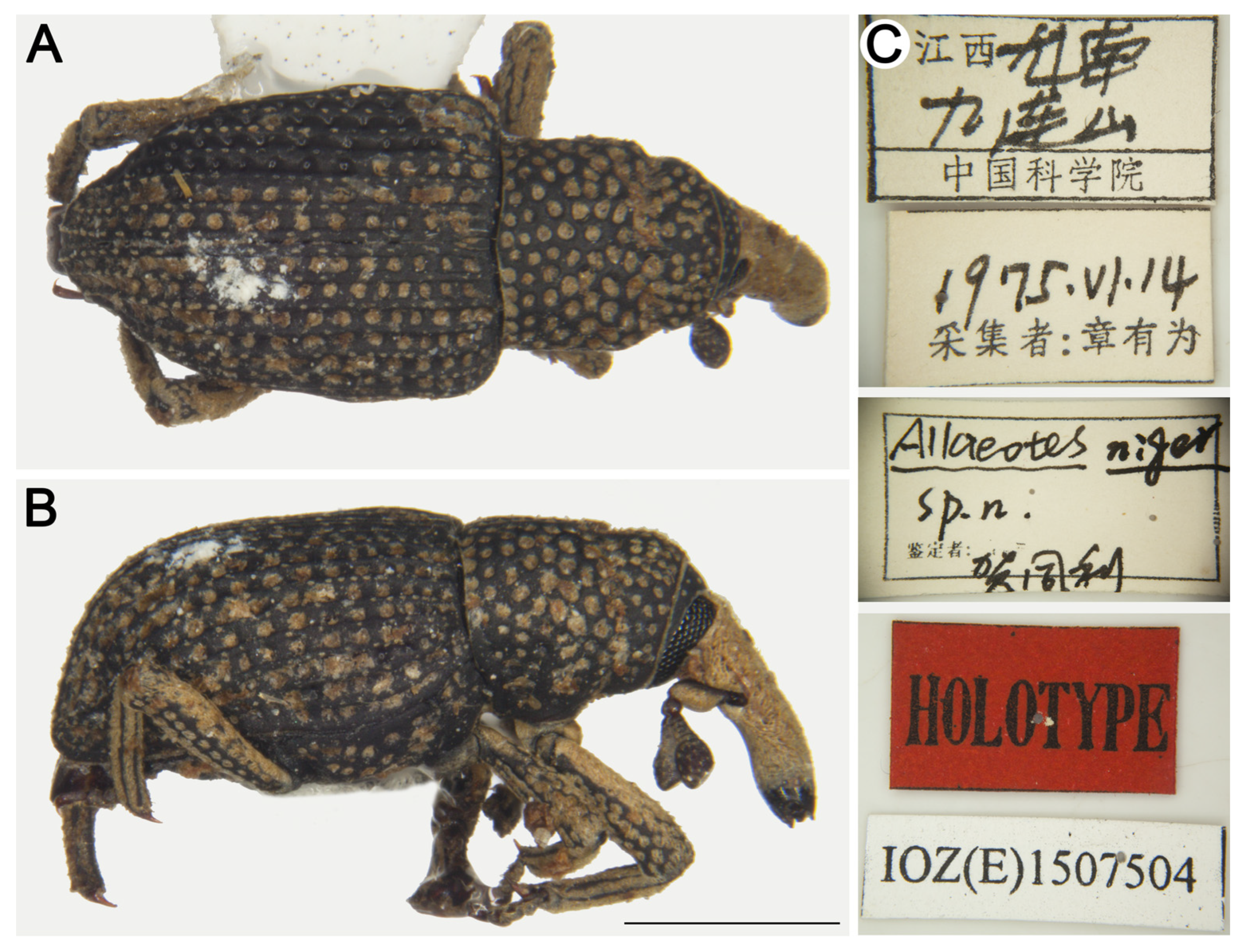 Insects 16 01211 g007 Insects 16 01211 g007