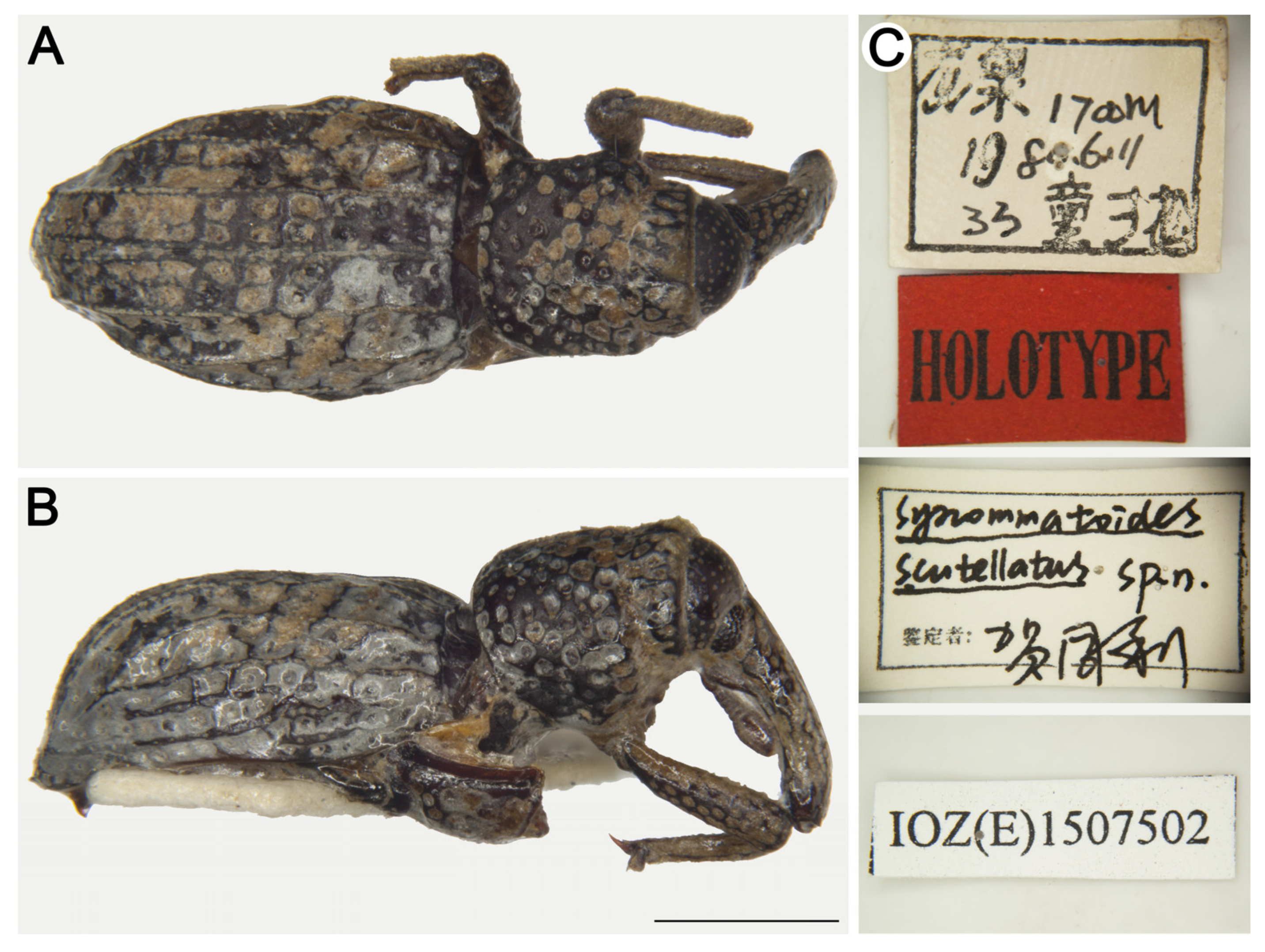 Insects 16 01211 g008 Insects 16 01211 g008