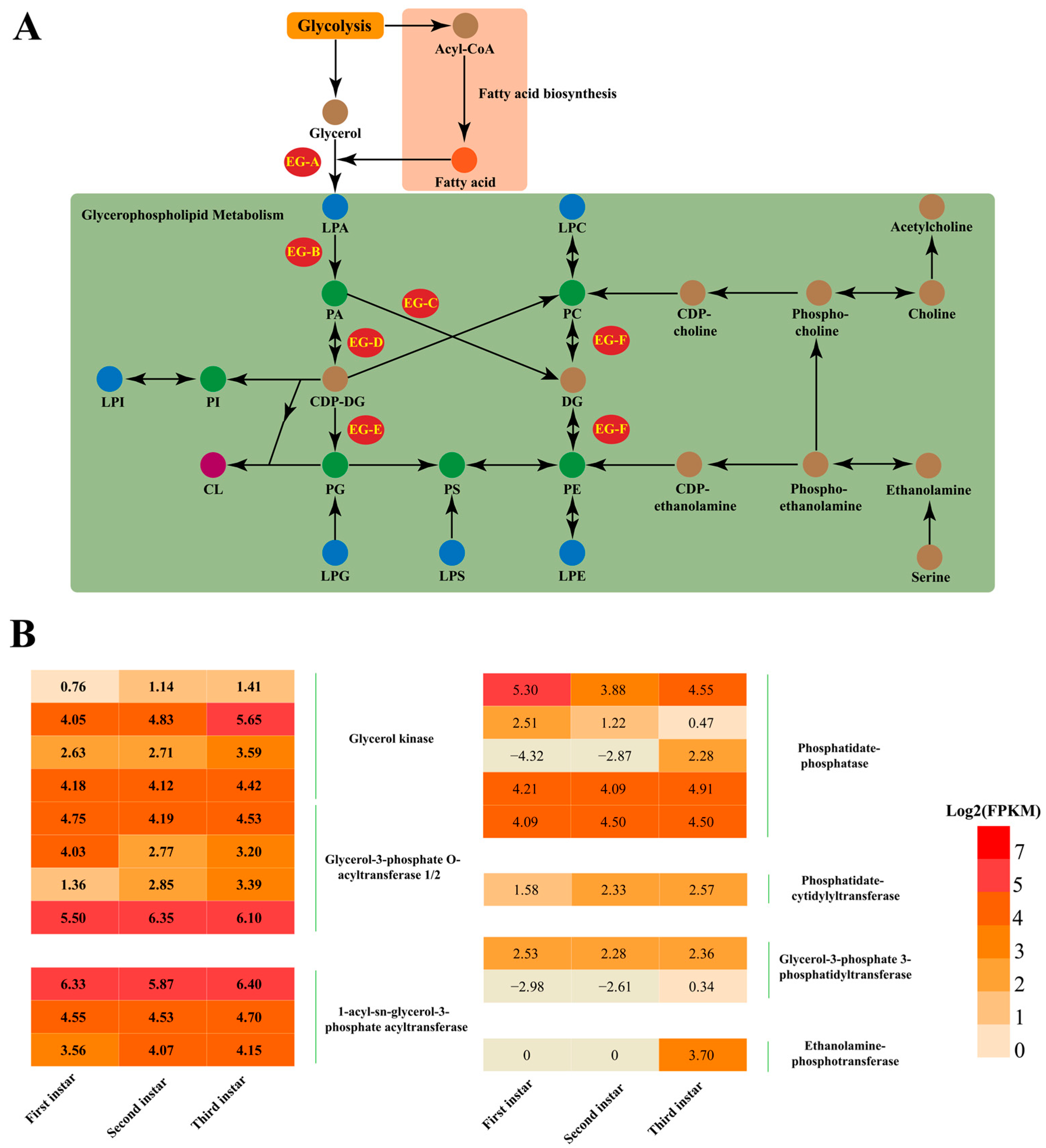 Insects 16 01220 g003 Insects 16 01220 g003