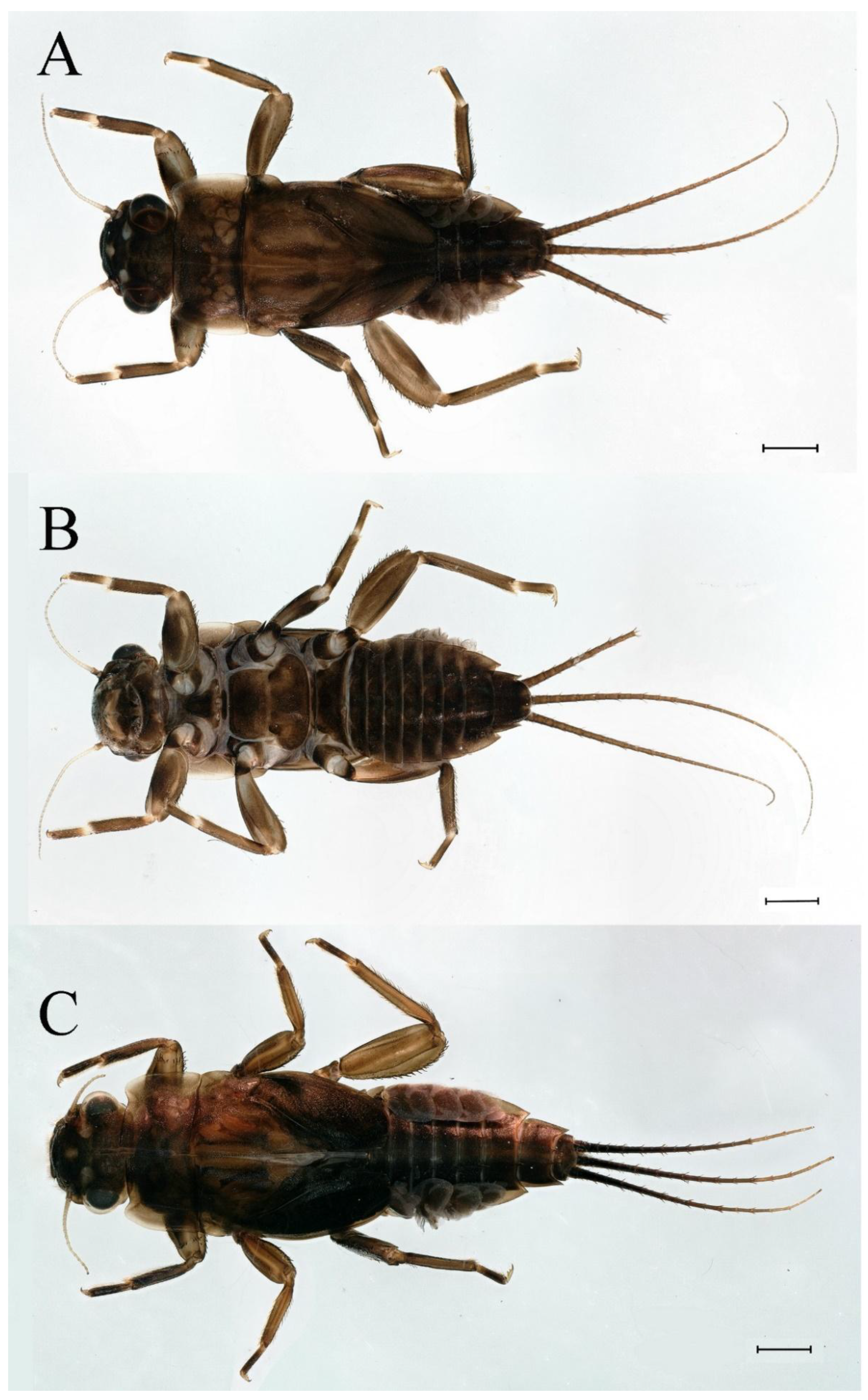 Insects 16 01221 g035