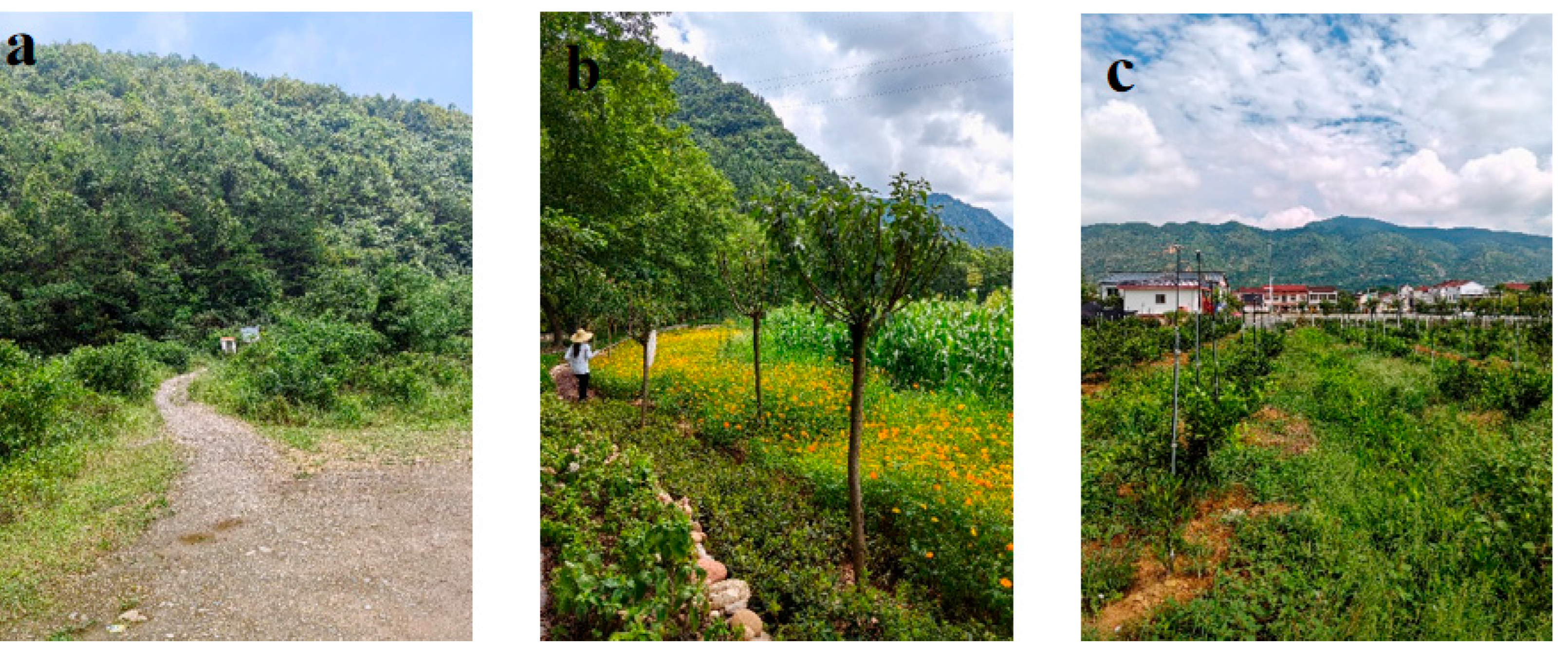 Insects 16 01223 g002