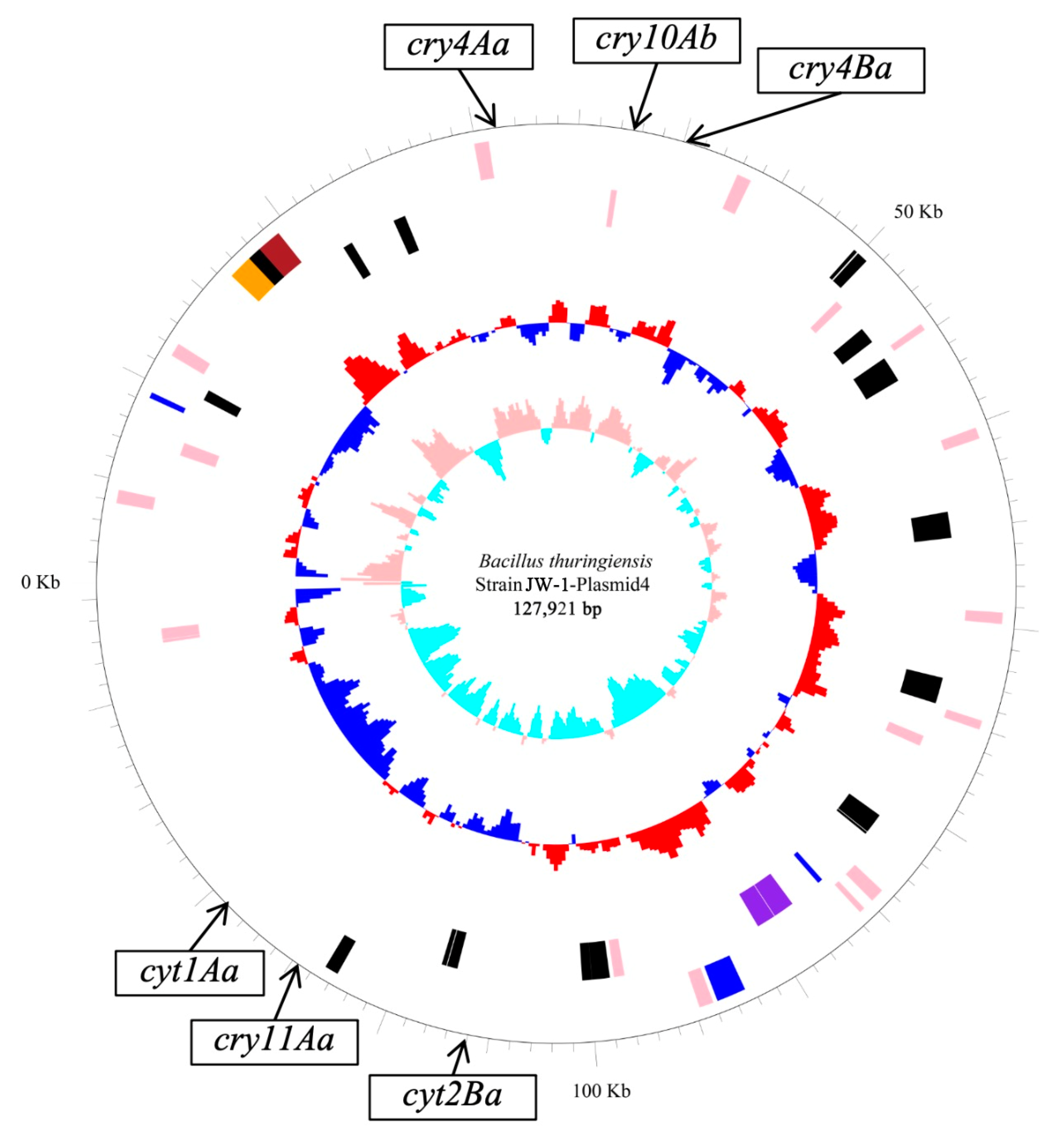 Insects 16 01228 g002
