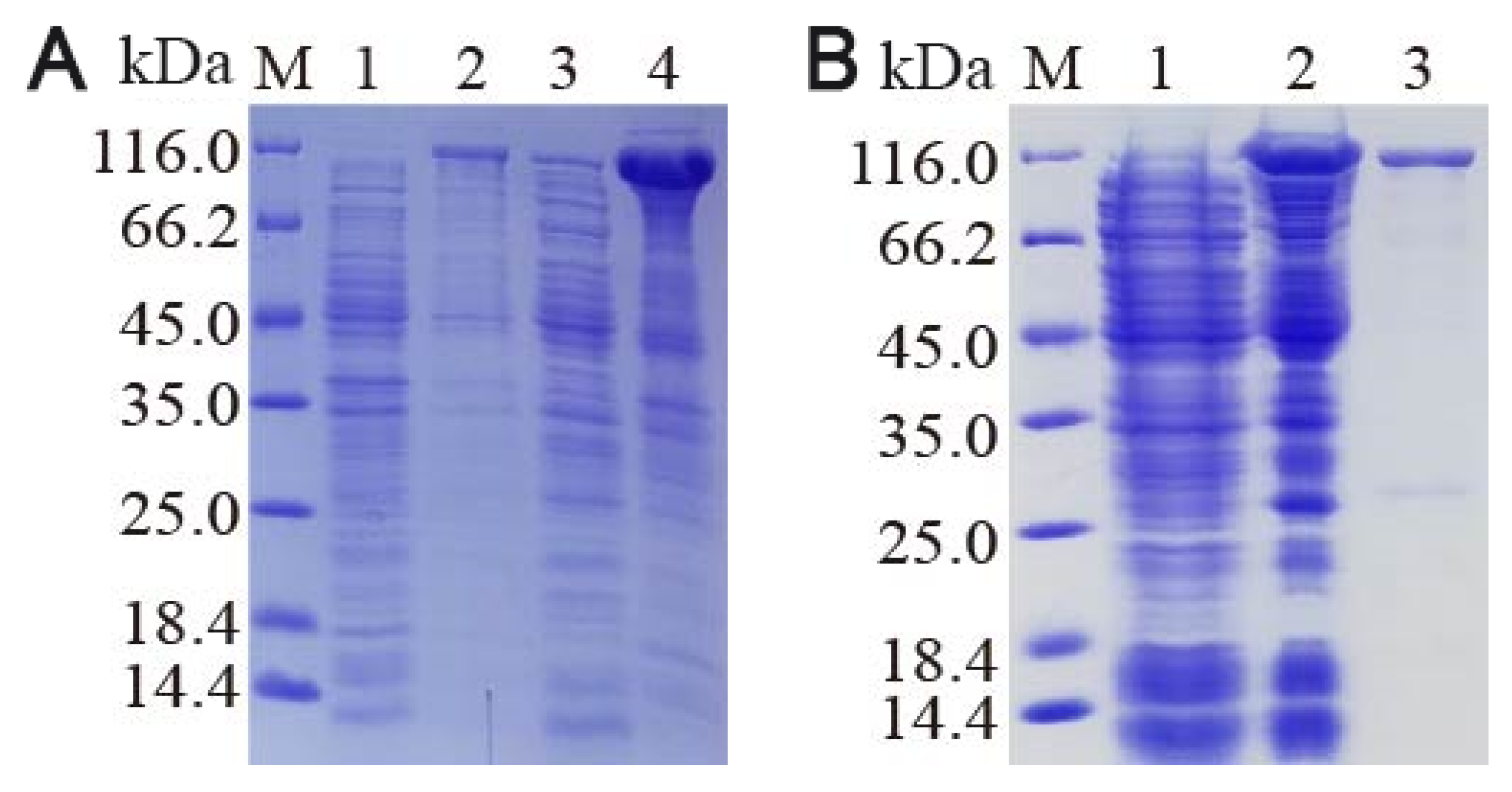 Insects 16 01228 g005