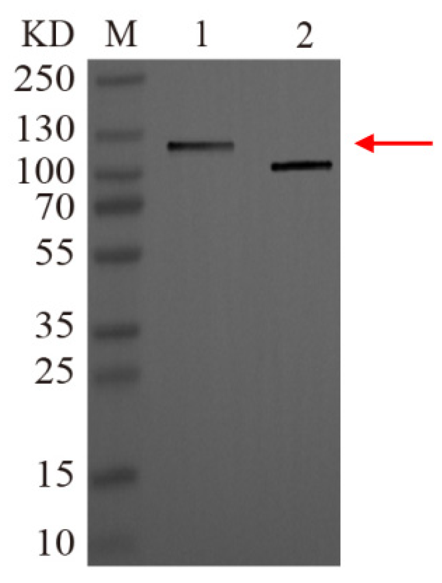 Insects 16 01228 g006