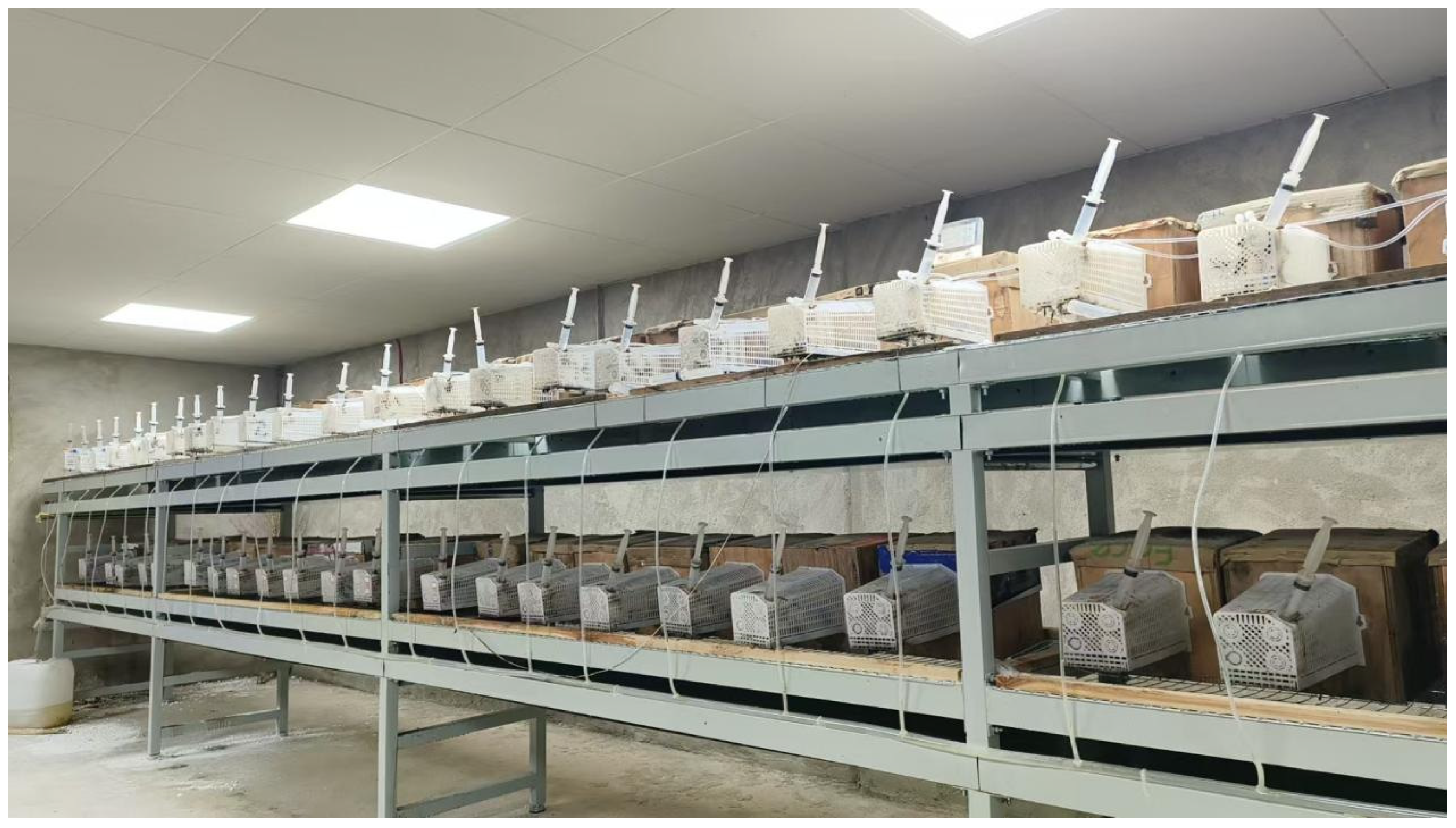 Insects 16 01231 g002 Insects 16 01231 g002