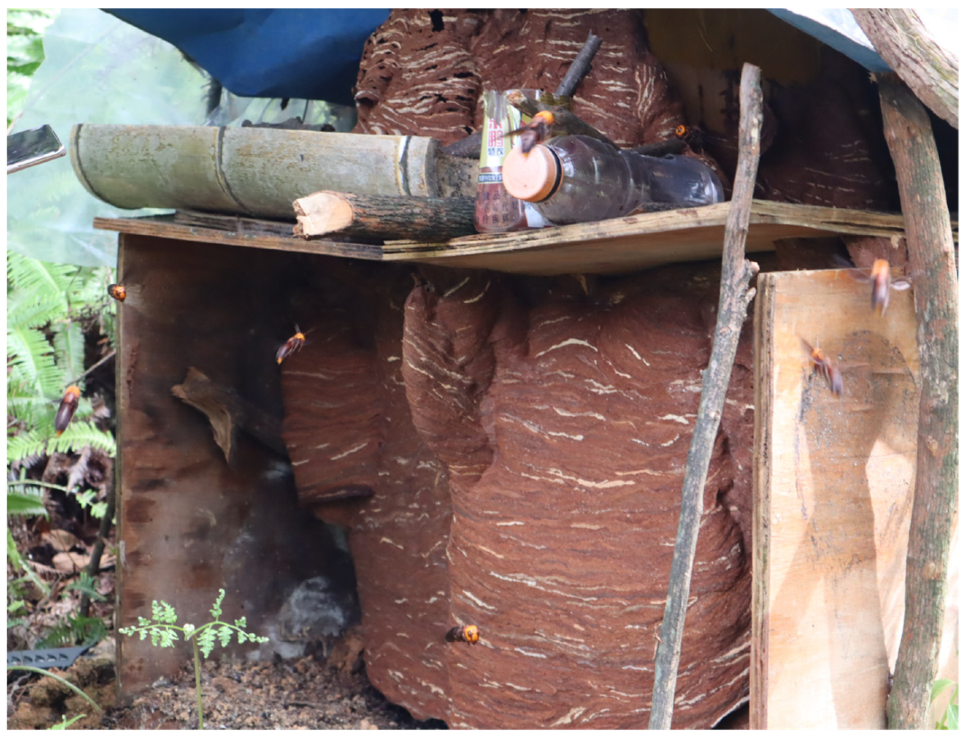 Insects 16 01231 g003 Insects 16 01231 g003