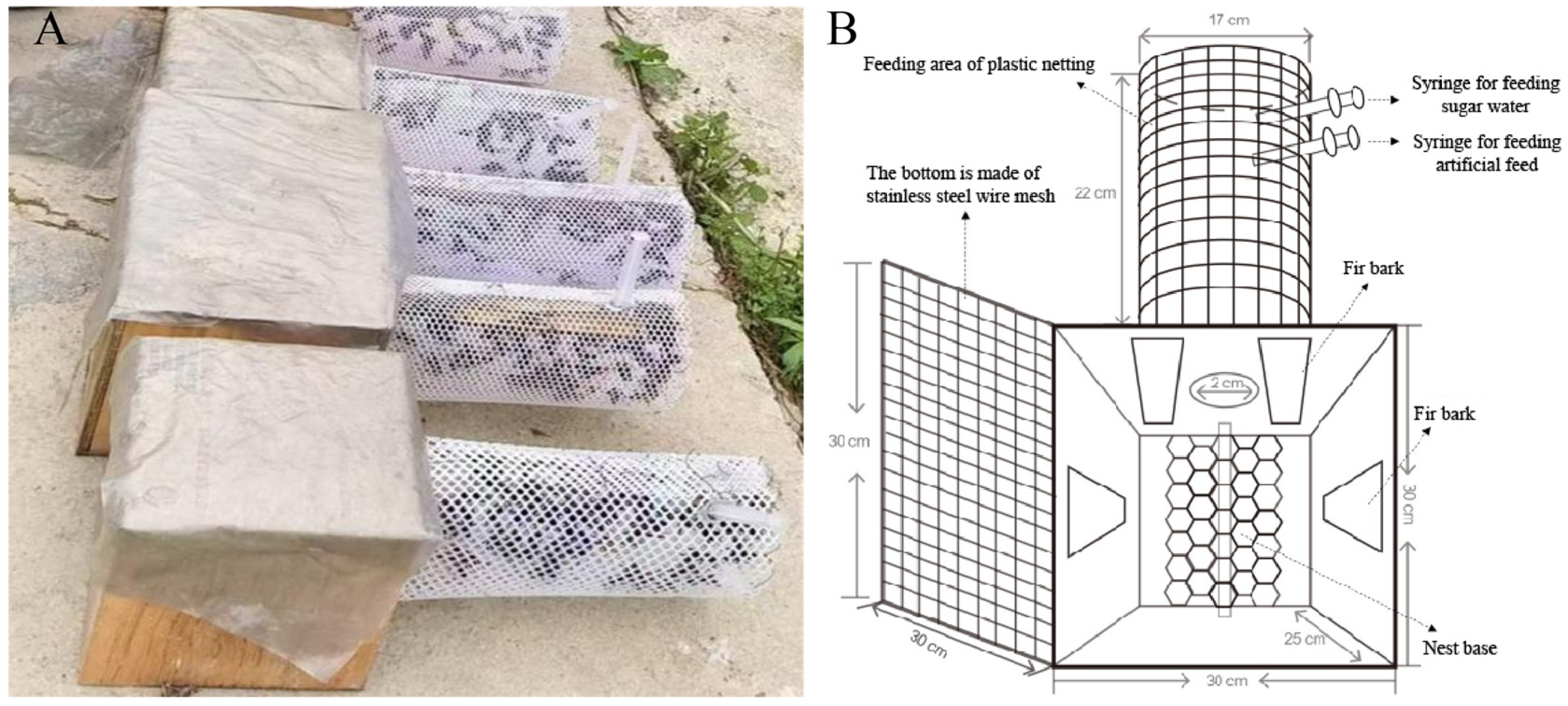 Insects 16 01231 g004 Insects 16 01231 g004