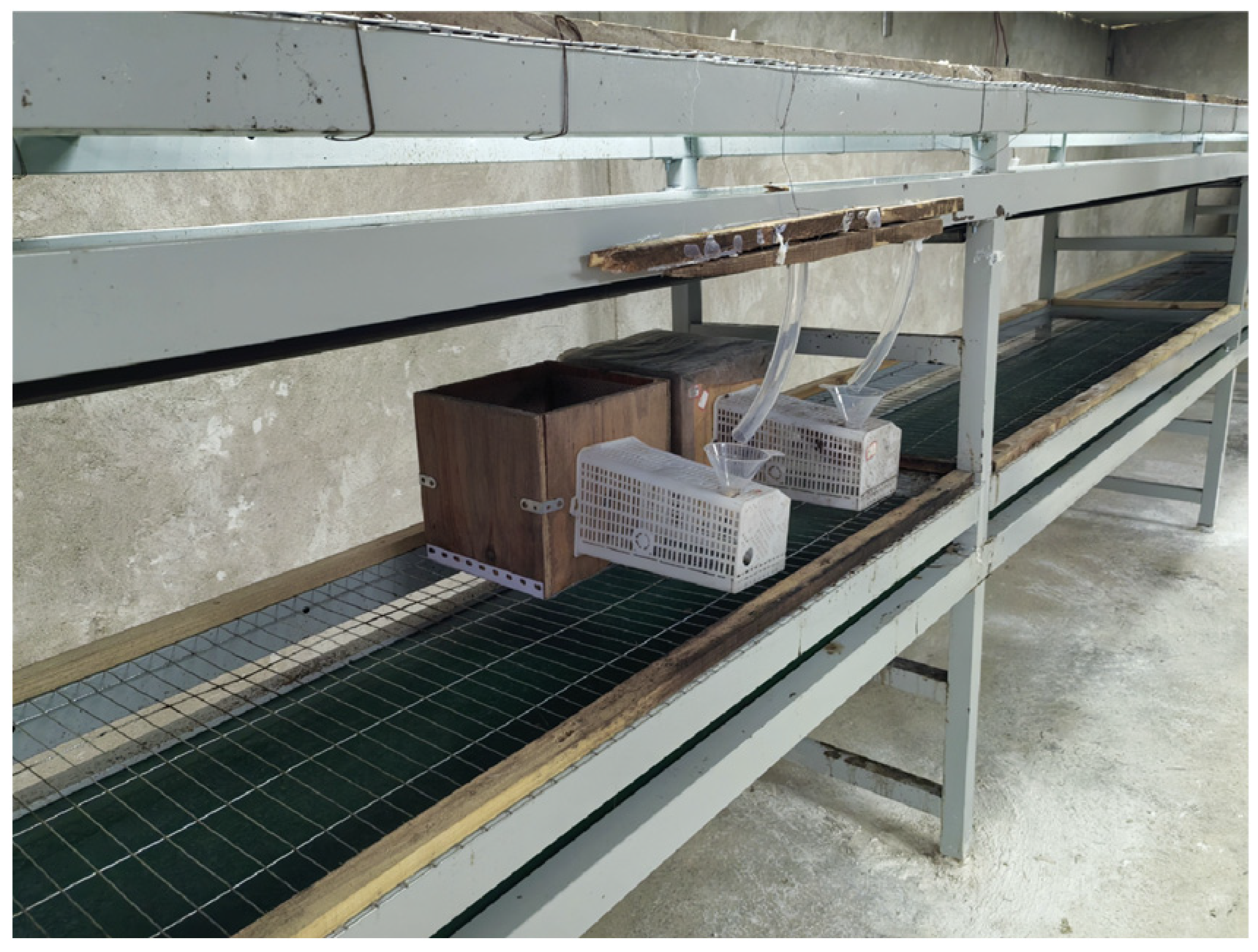 Insects 16 01231 g005 Insects 16 01231 g005