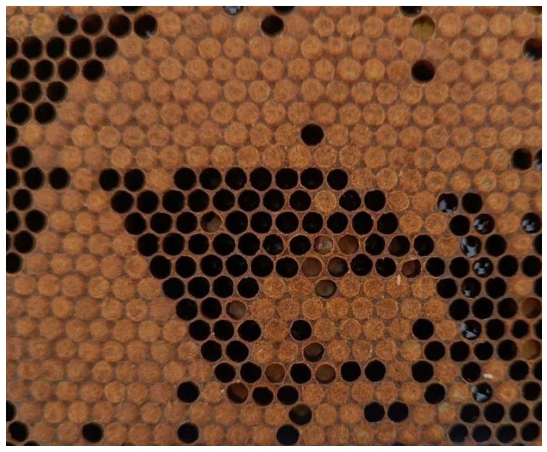 Insects 16 01236 g003 Insects 16 01236 g003