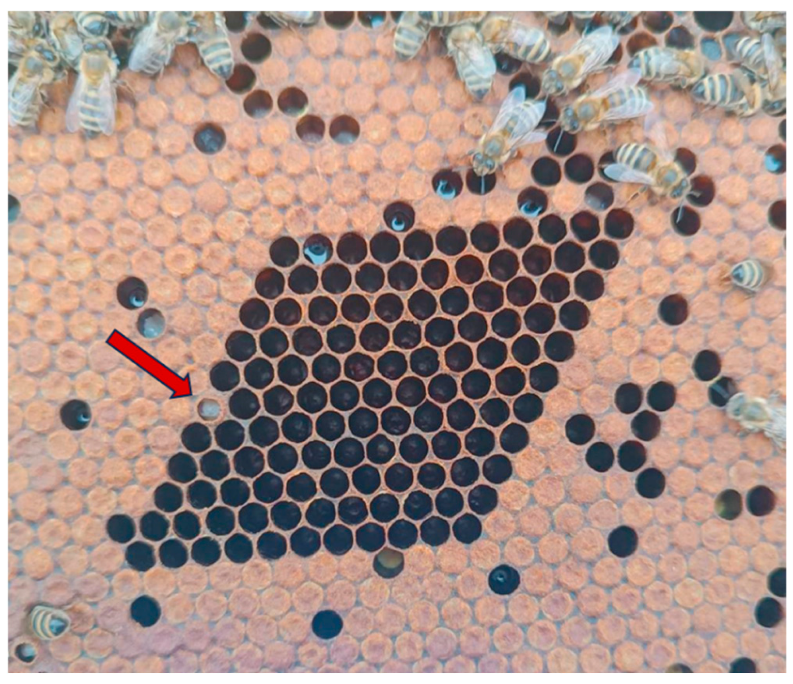 Insects 16 01236 g004 Insects 16 01236 g004