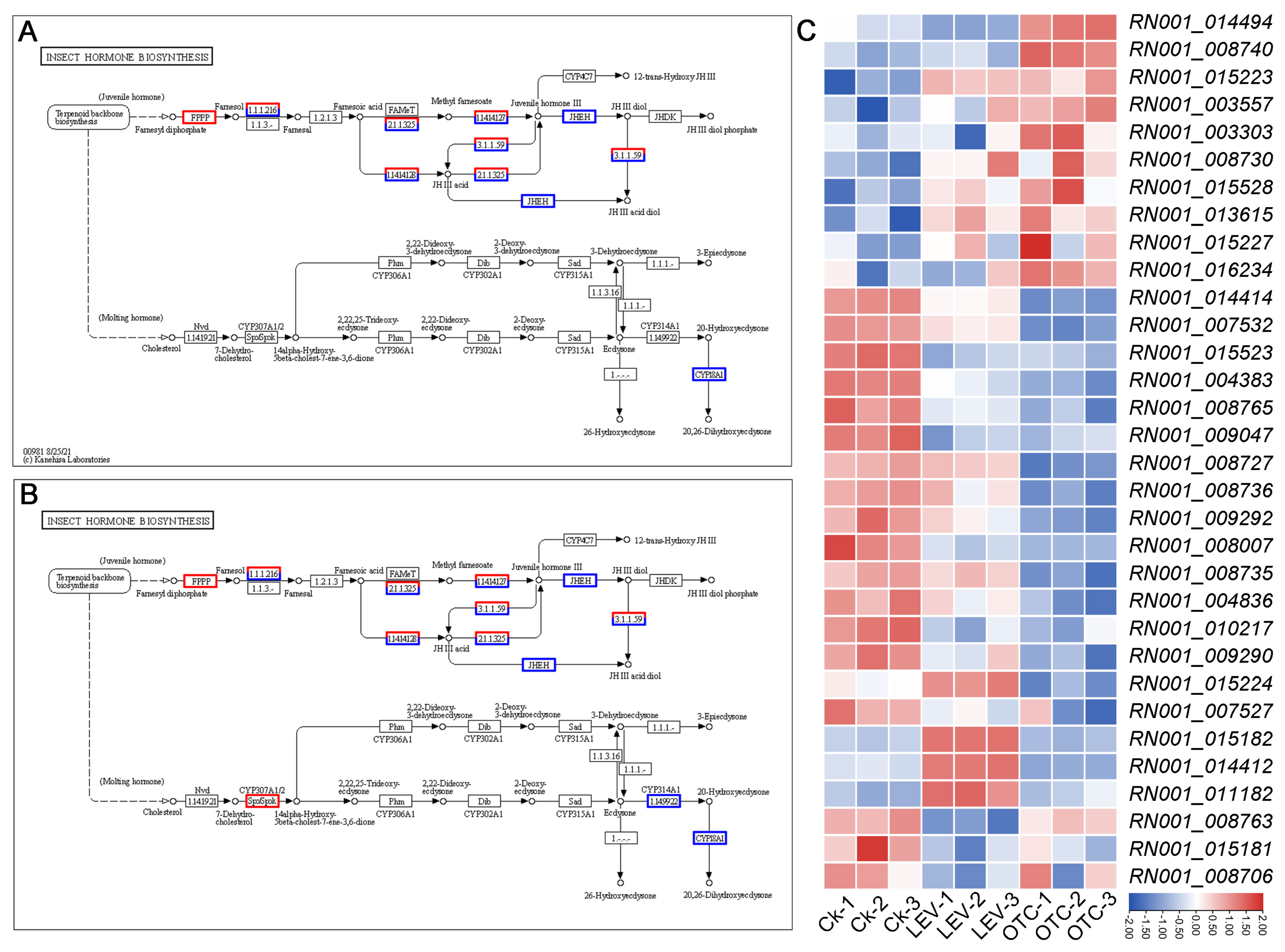 Insects 16 01239 g004 Insects 16 01239 g004