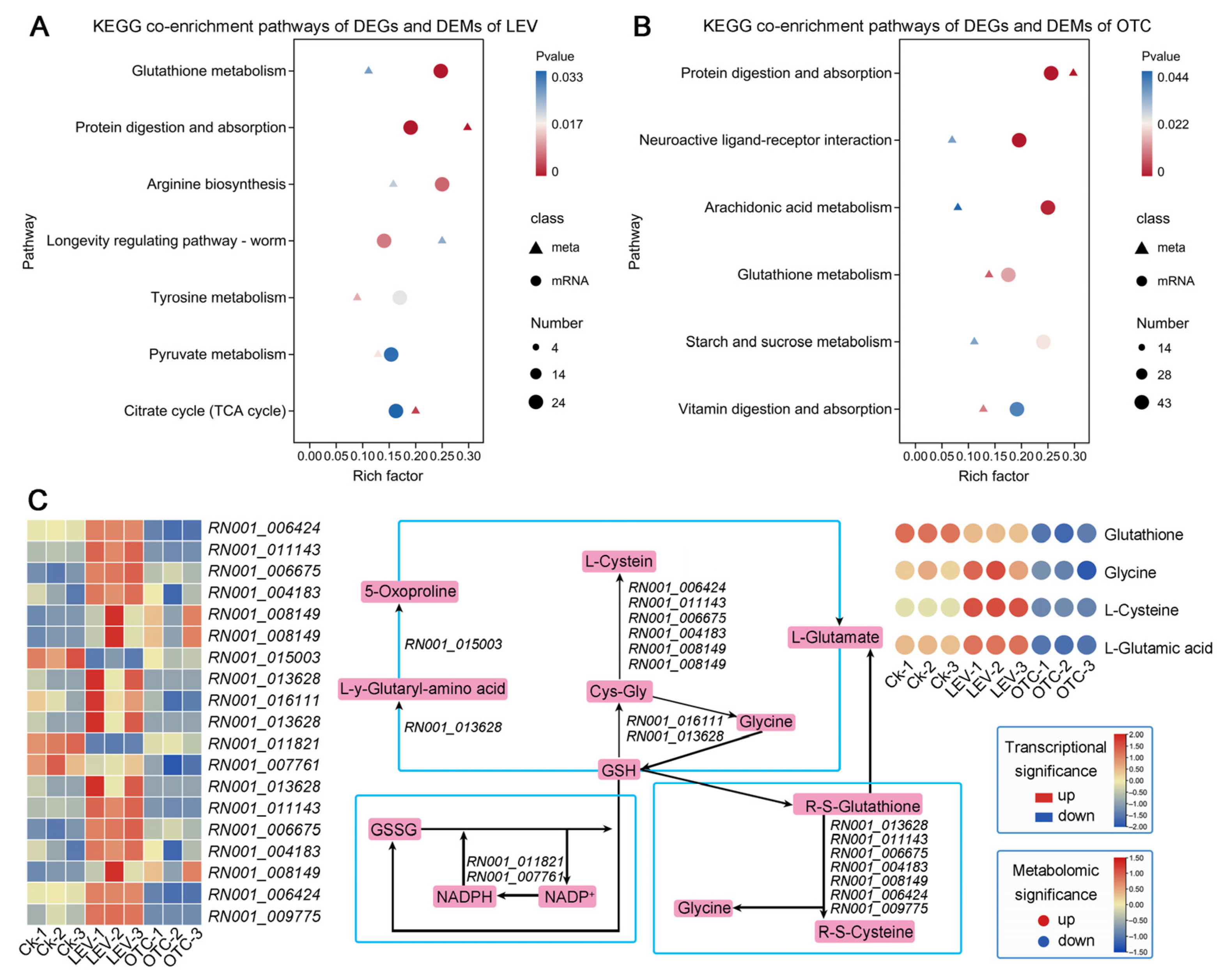 Insects 16 01239 g007 Insects 16 01239 g007