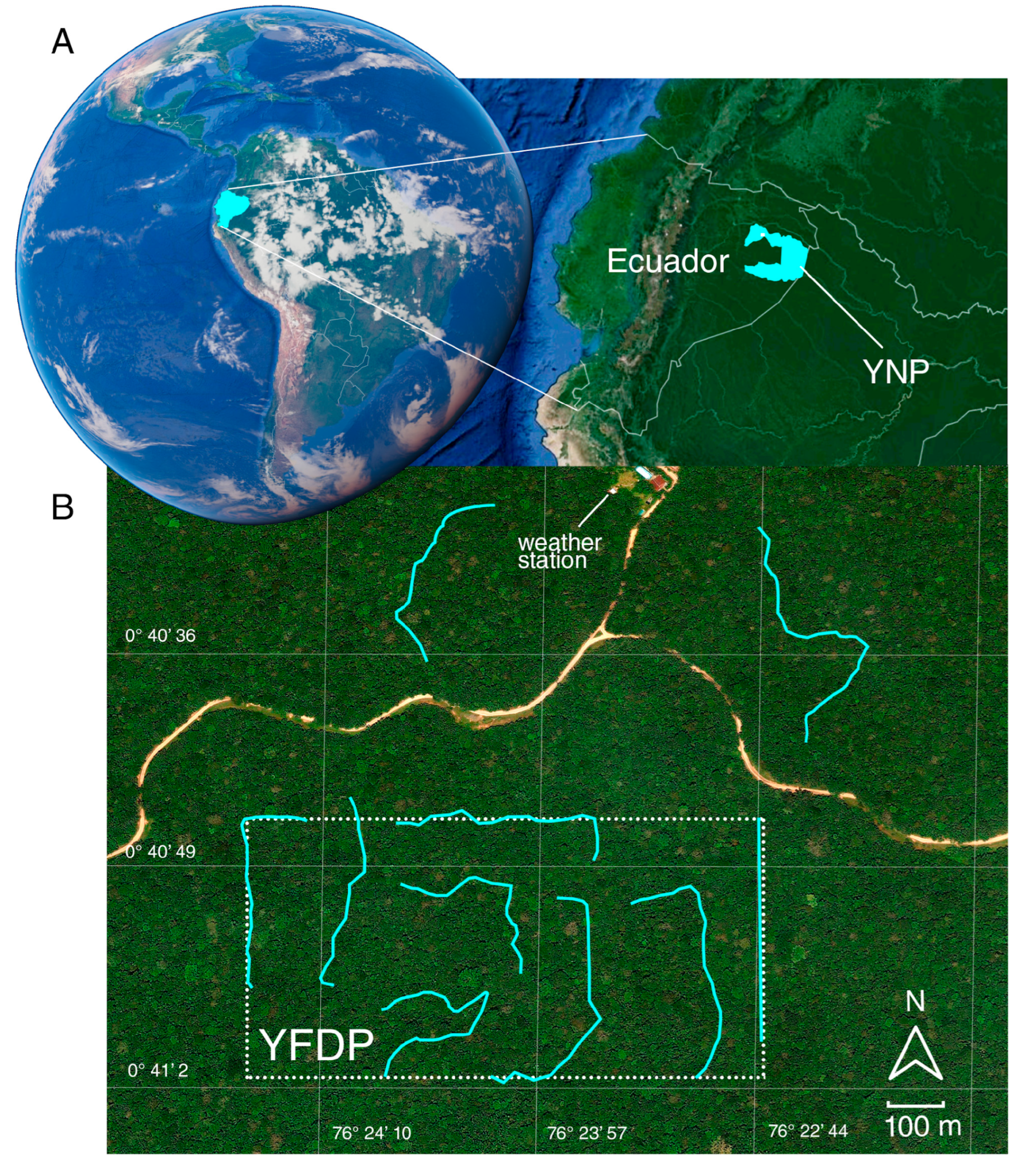Insects 16 01247 g002