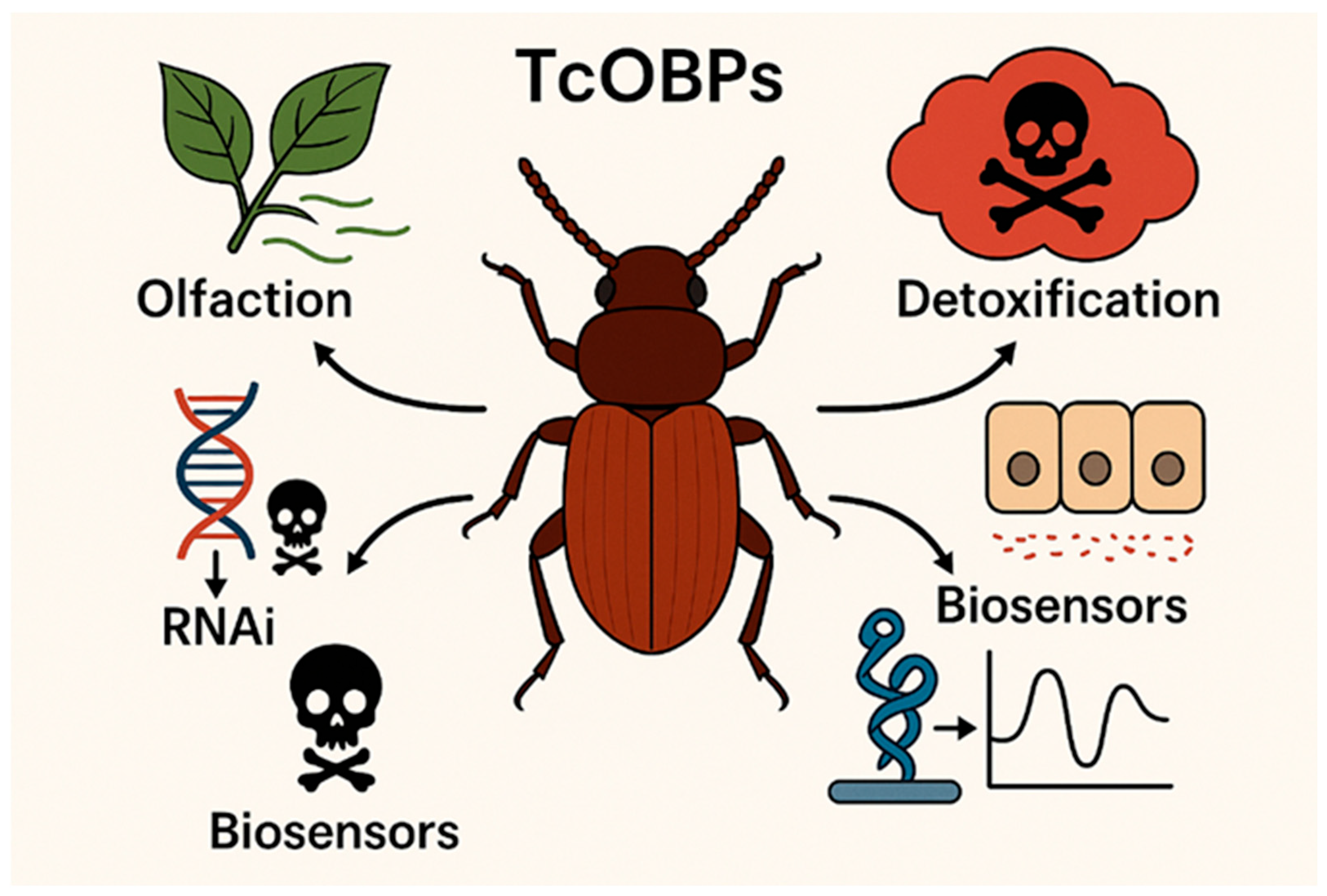 Insects 16 01250 g001 Insects 16 01250 g001