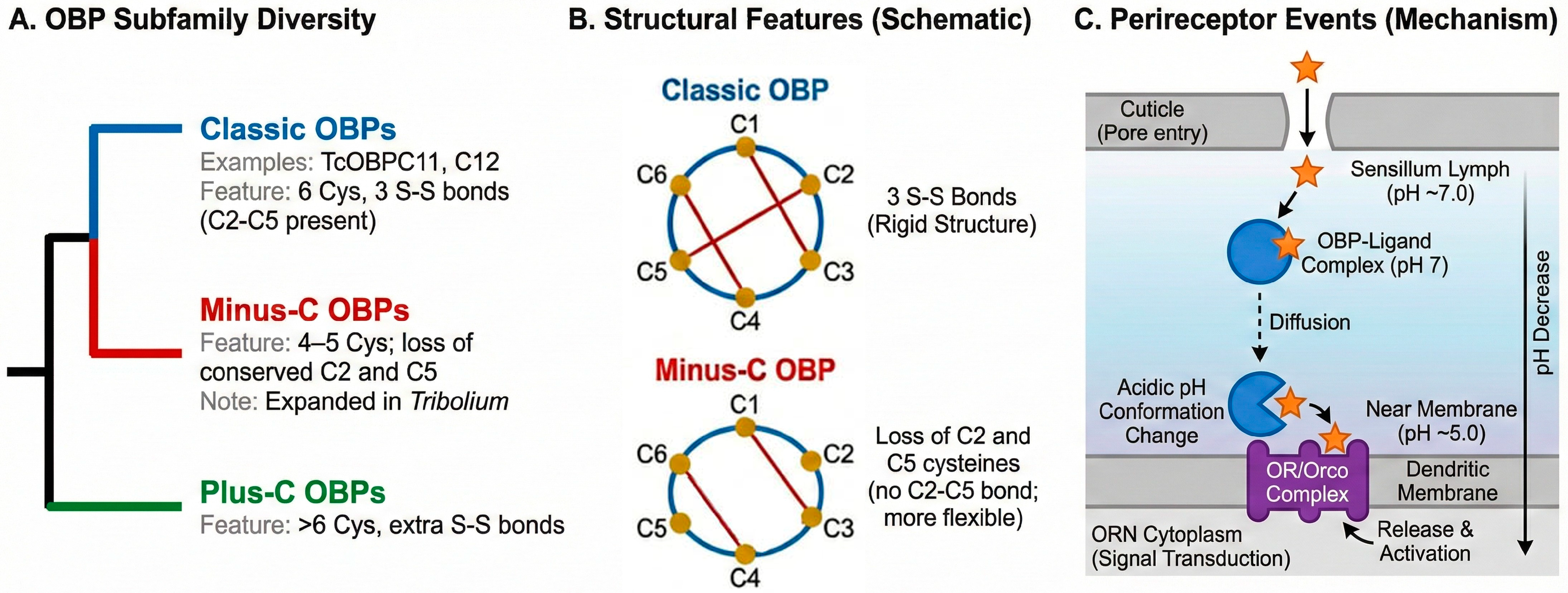 Insects 16 01250 g002 Insects 16 01250 g002