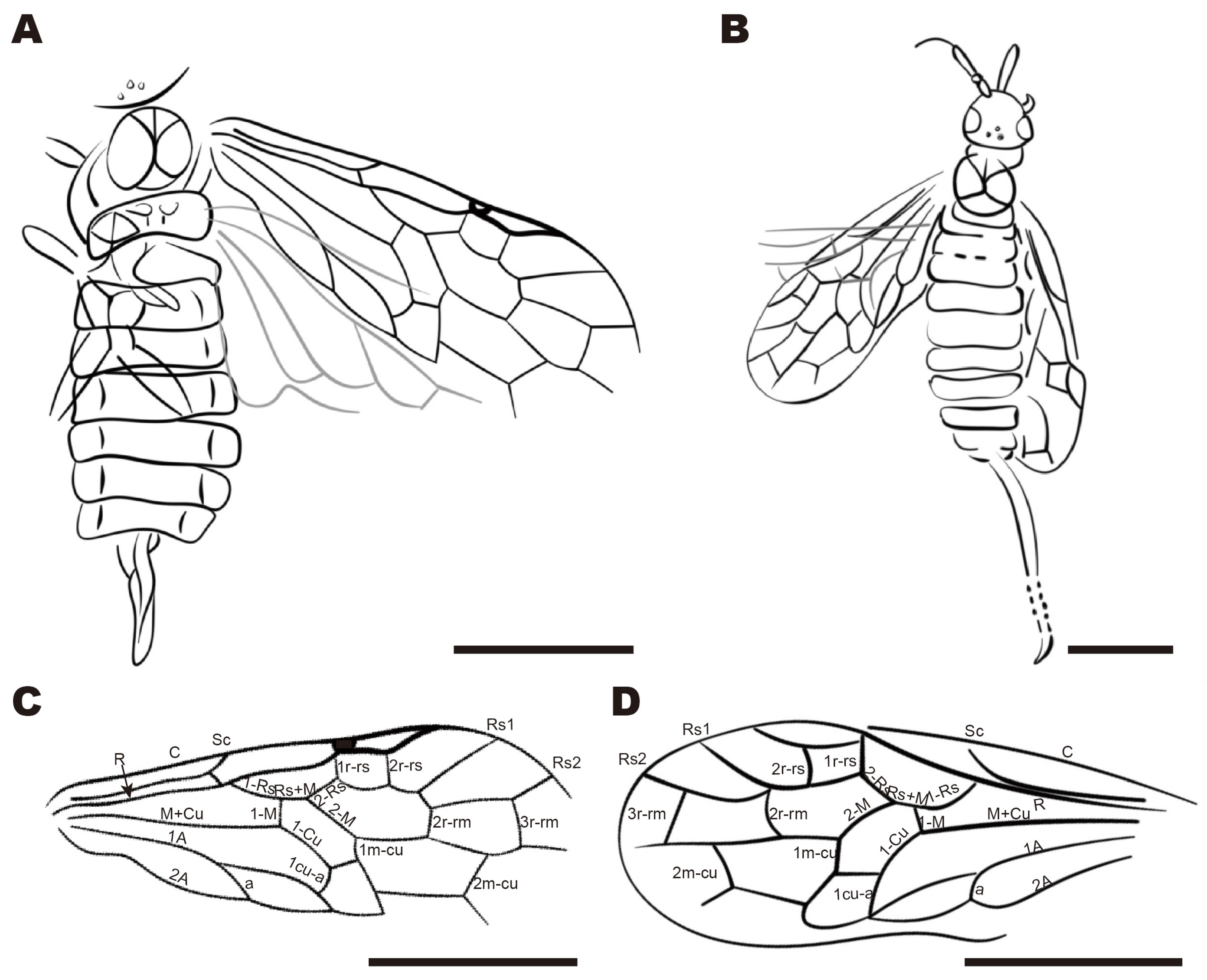 Insects 16 01253 g005 Insects 16 01253 g005