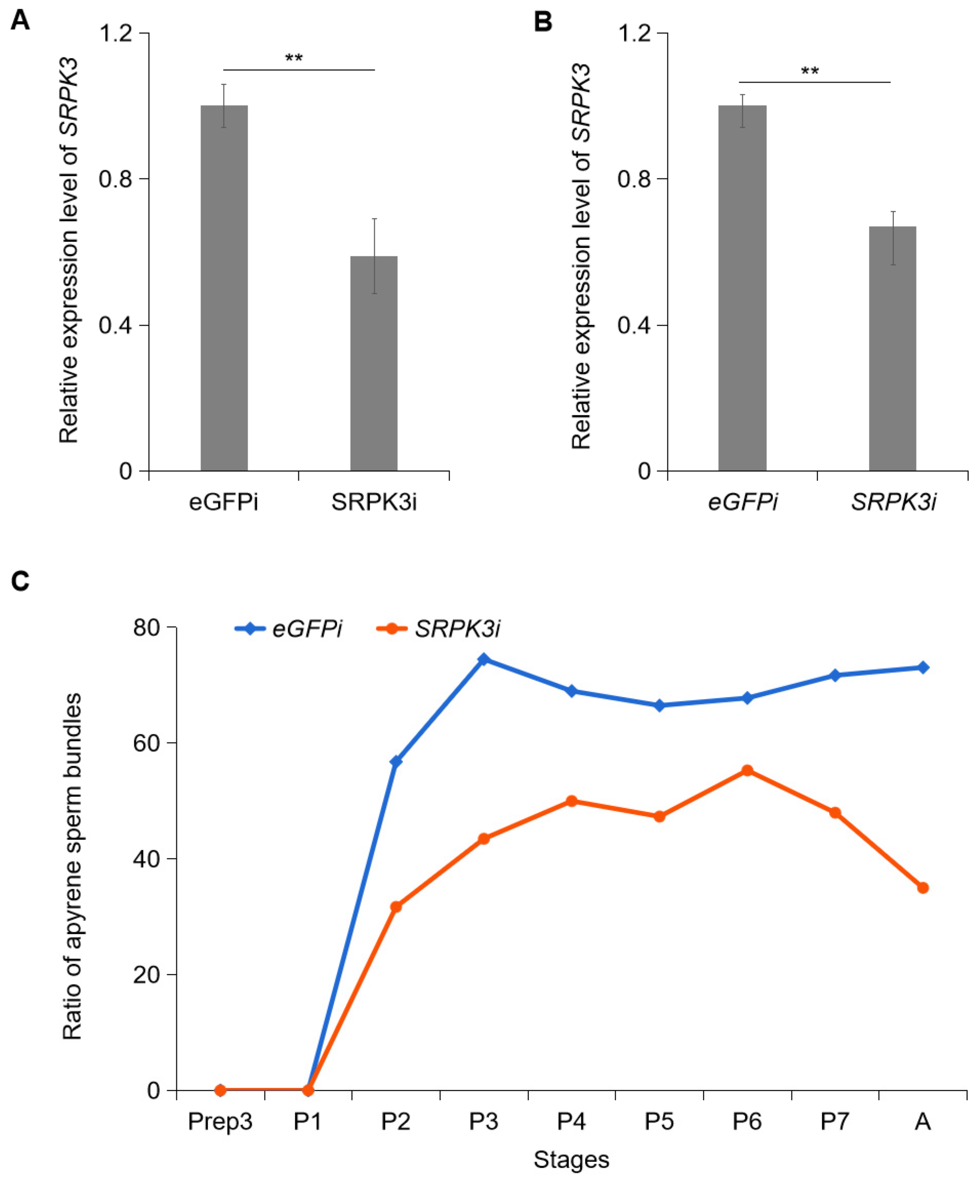 Insects 16 01256 g002 Insects 16 01256 g002