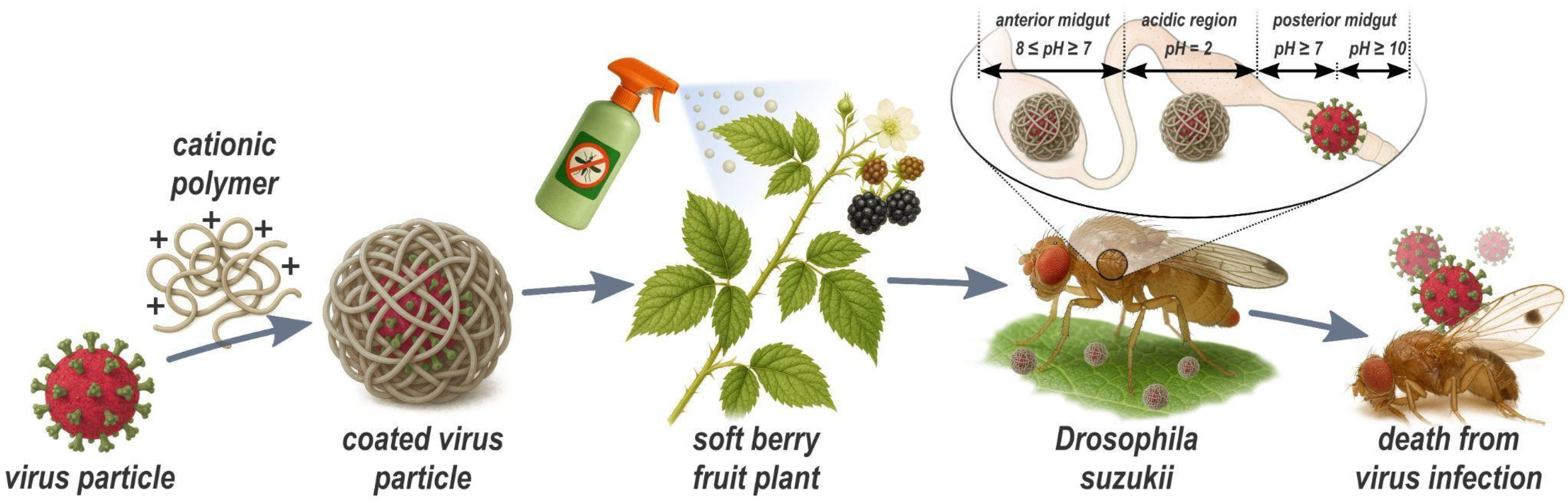 Insects 16 01258 g001