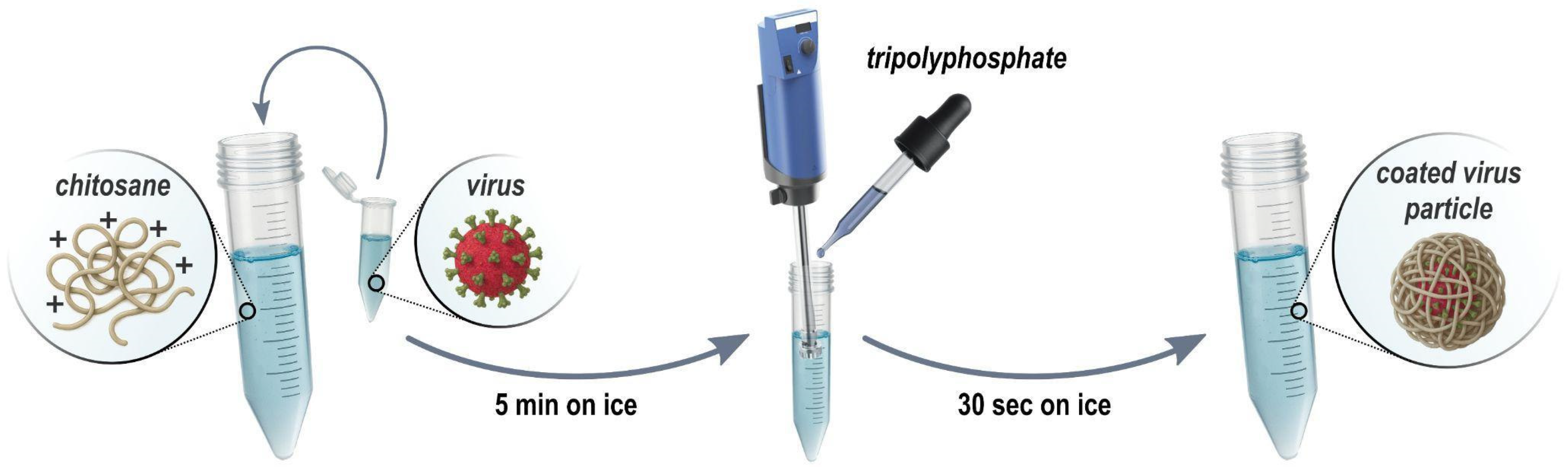 Insects 16 01258 g002