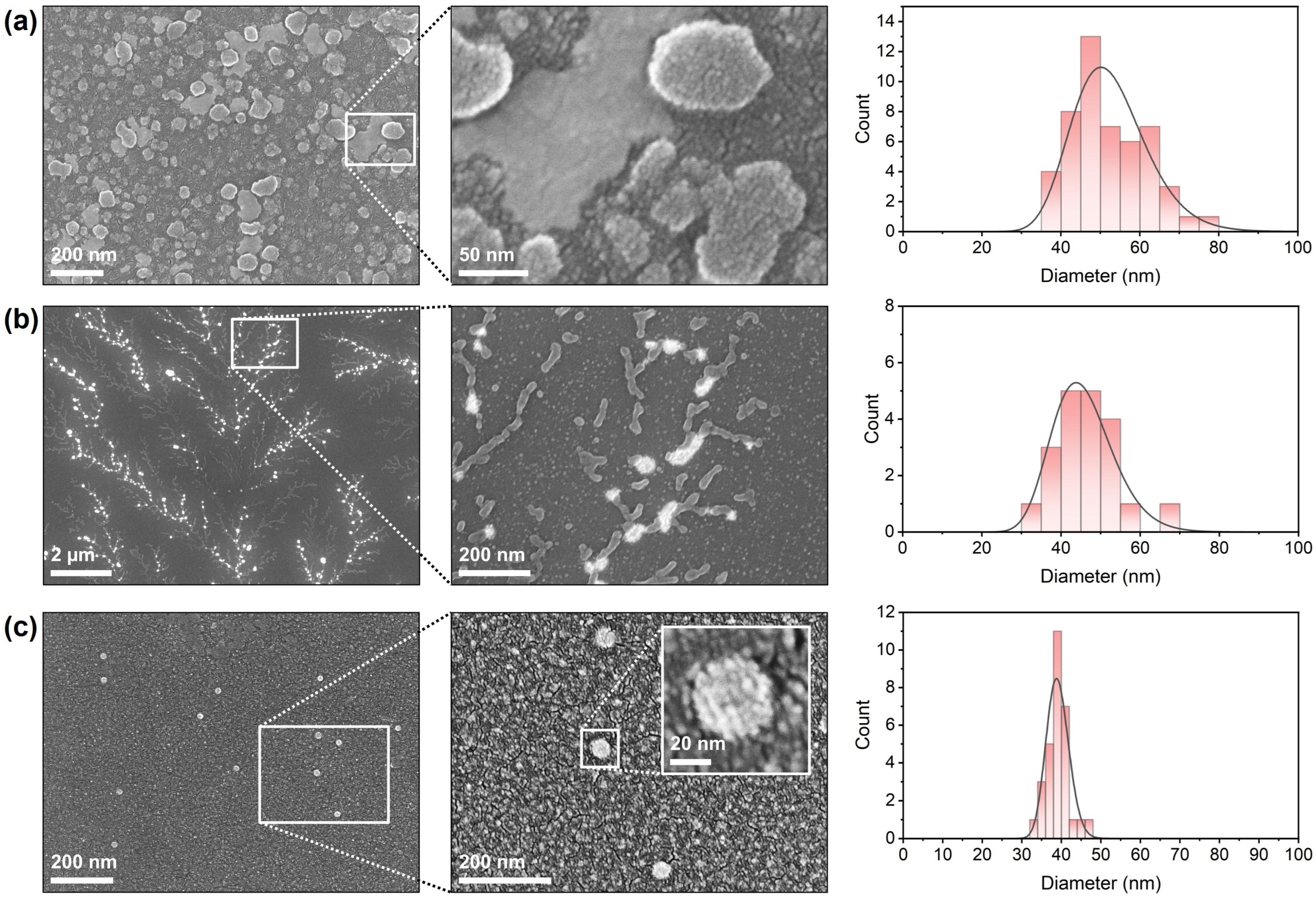 Insects 16 01258 g004