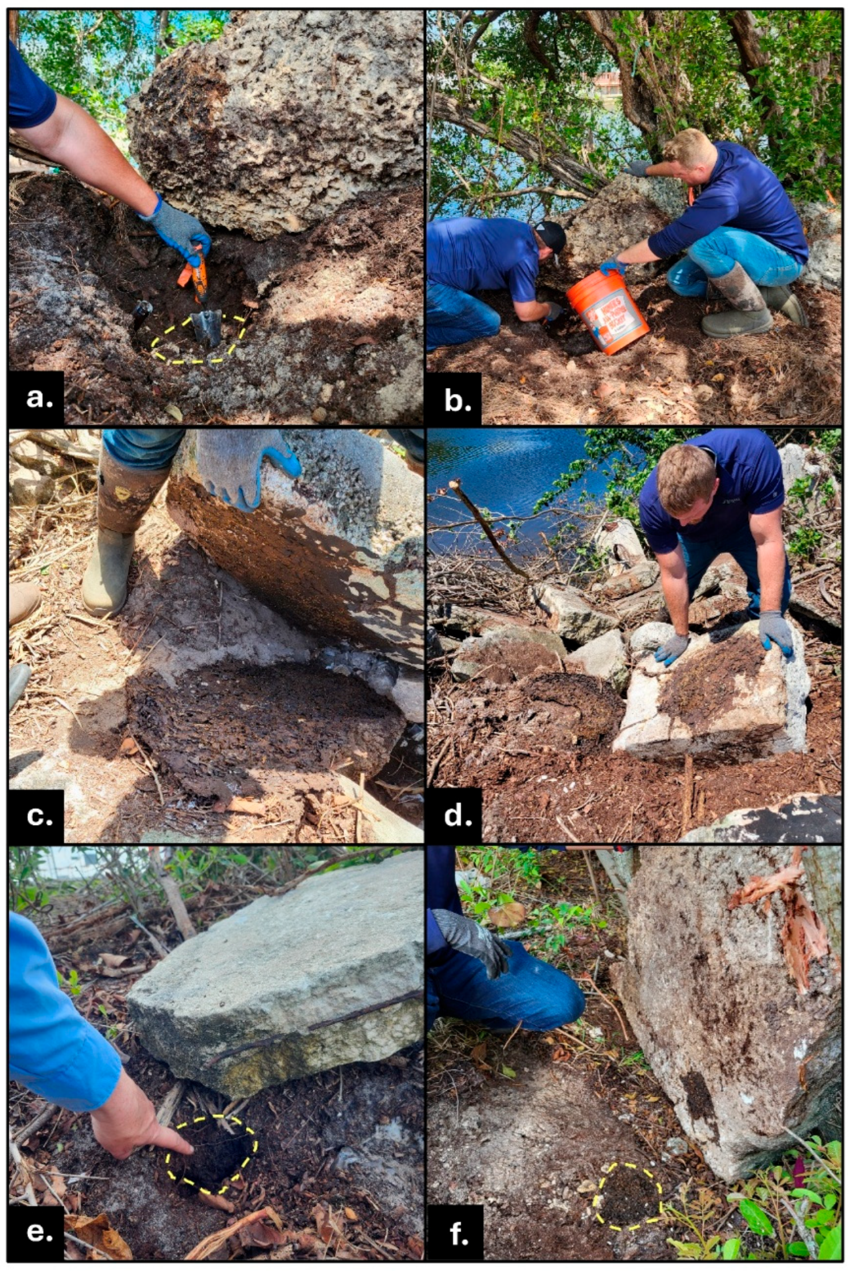 Insects 16 01262 g005