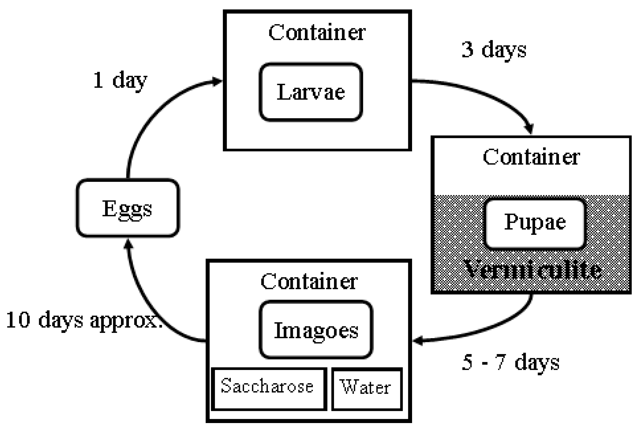 Insects 16 01265 g002 Insects 16 01265 g002