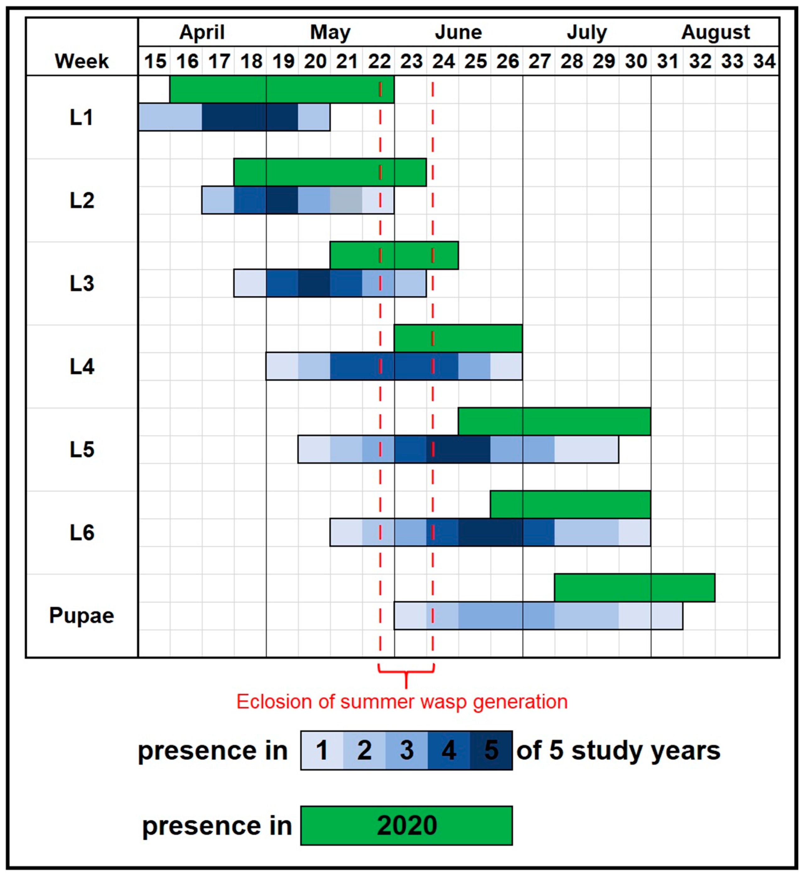 Insects 16 01270 g001 Insects 16 01270 g001