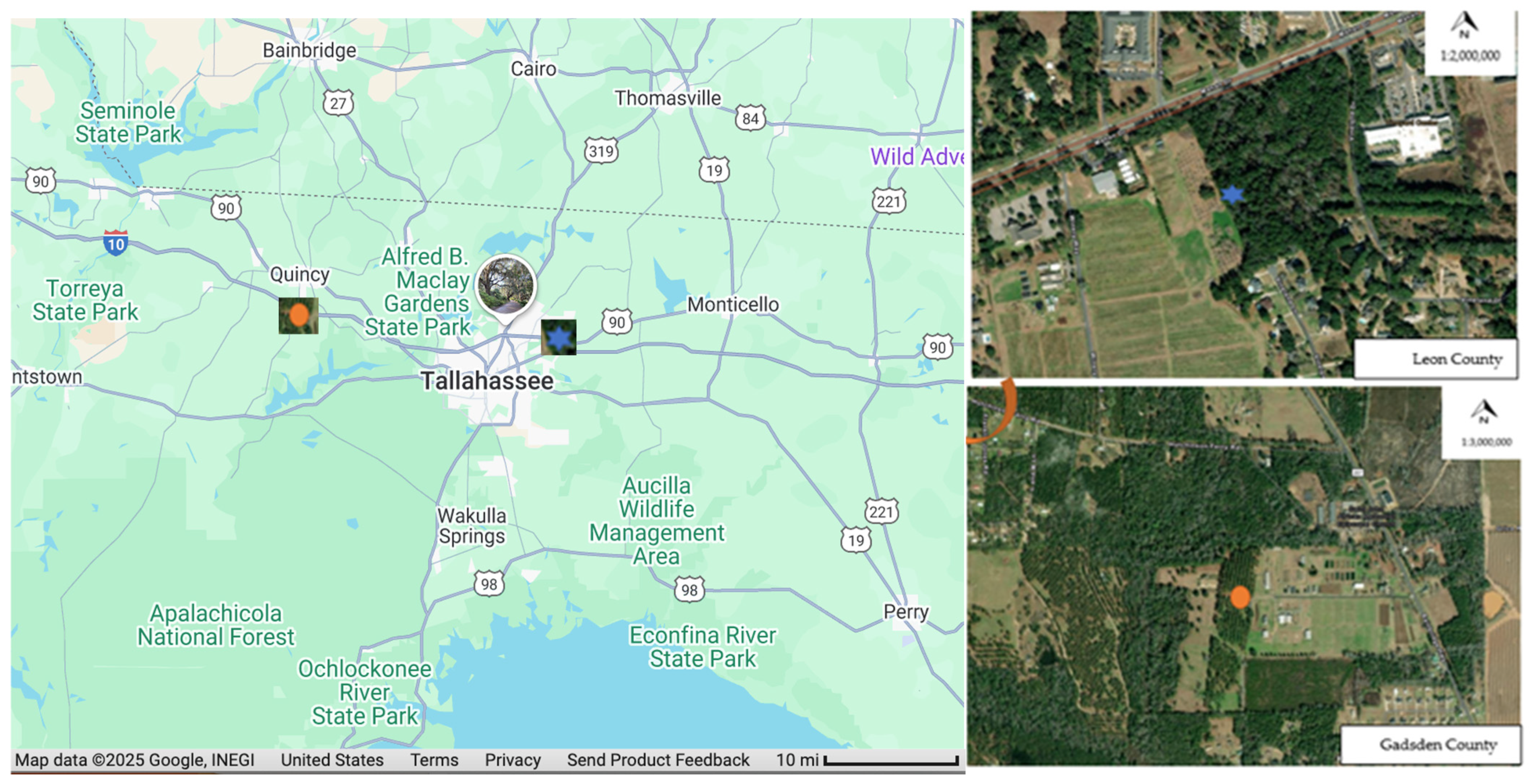 Insects 16 01275 g001 Insects 16 01275 g001