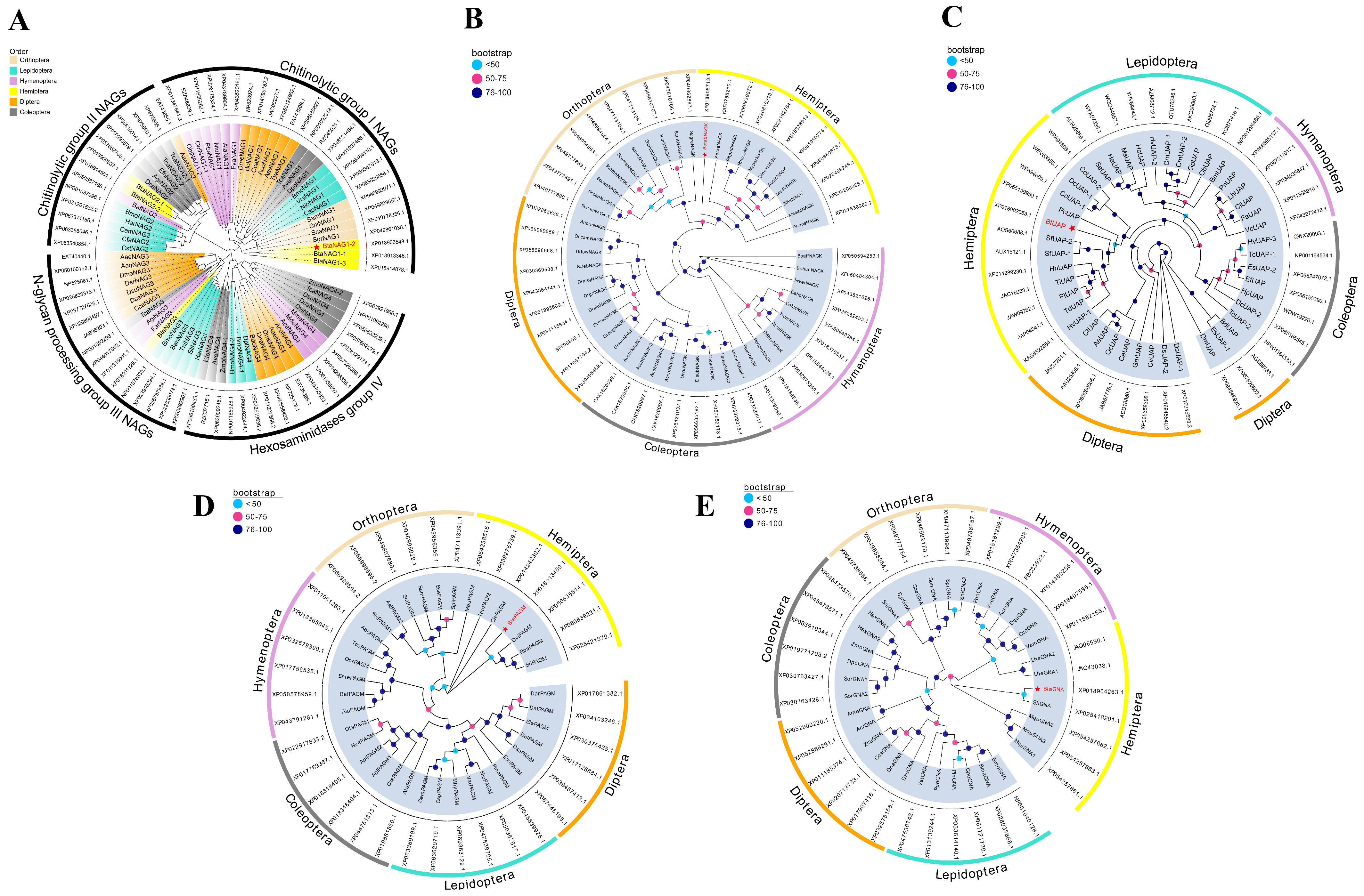 Insects 17 00002 g001